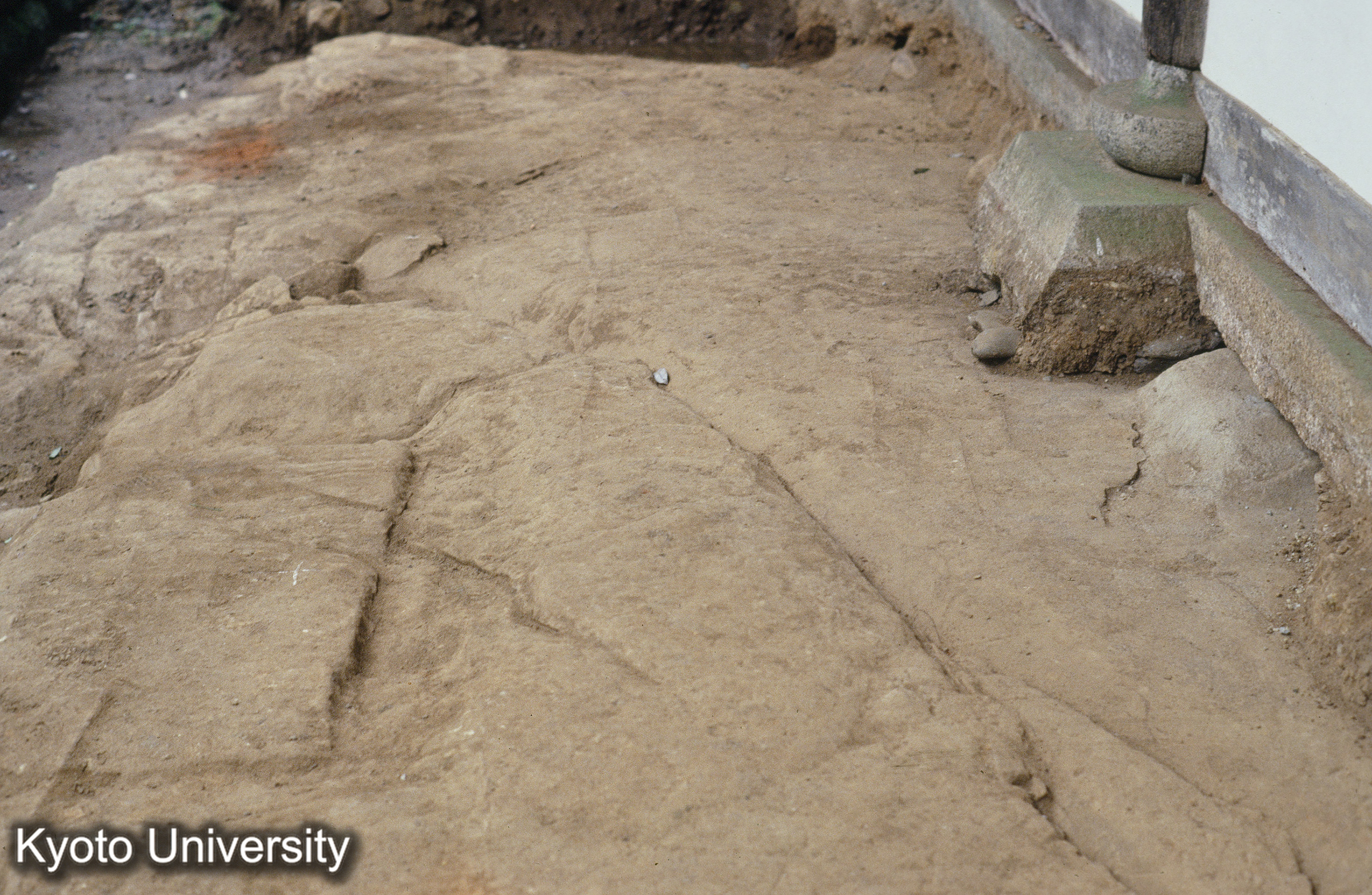 伊賀新大仏寺 発掘 (1)