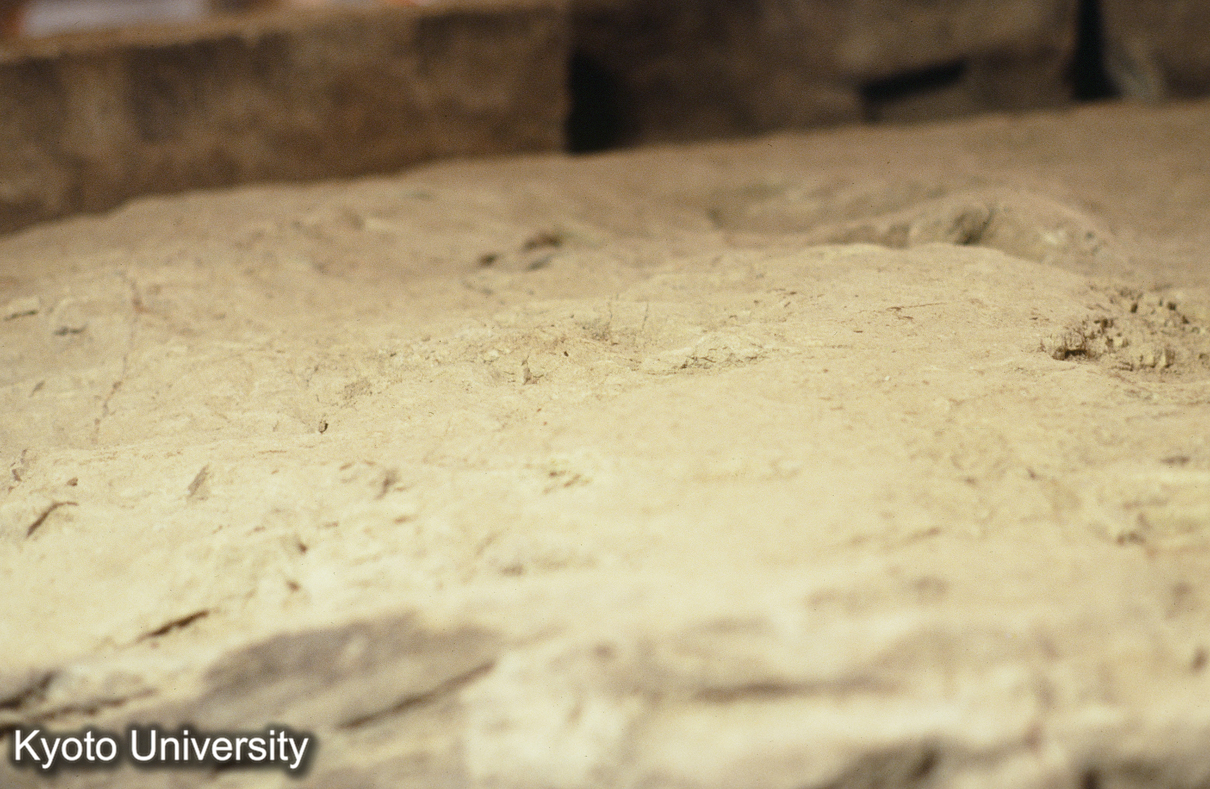 ［スライド］ (1)