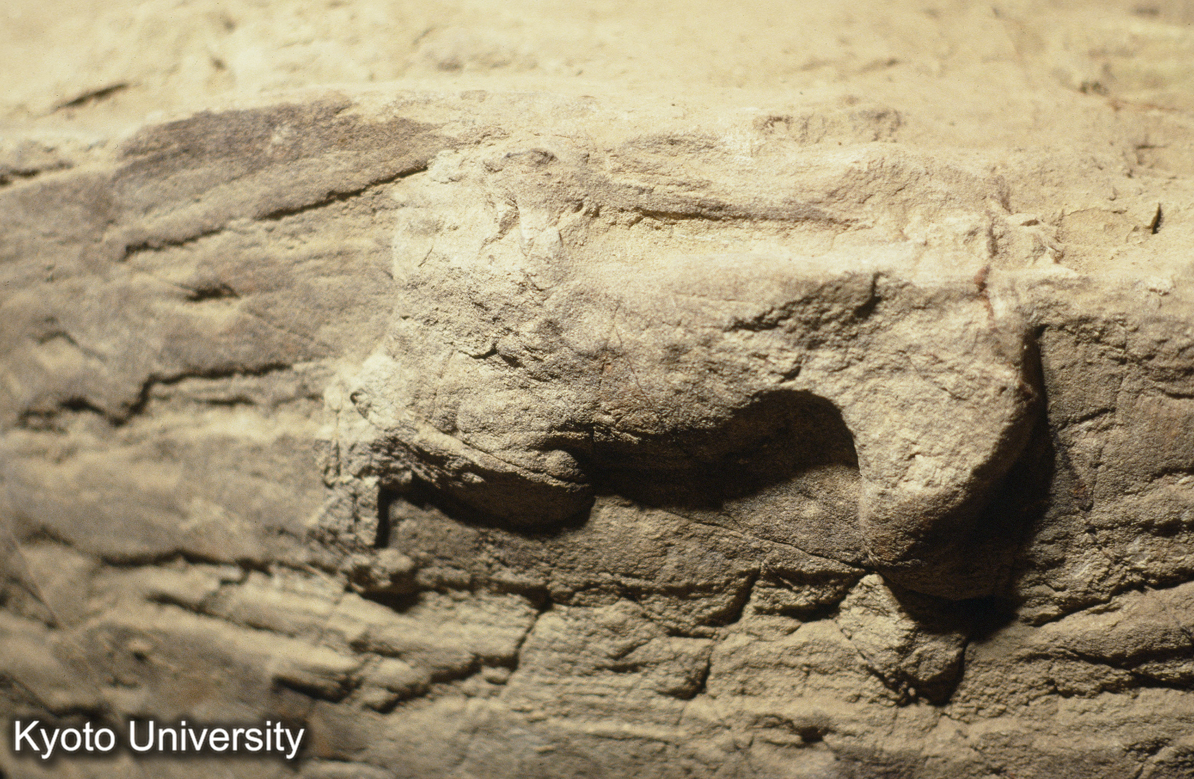 ［スライド］ (1)