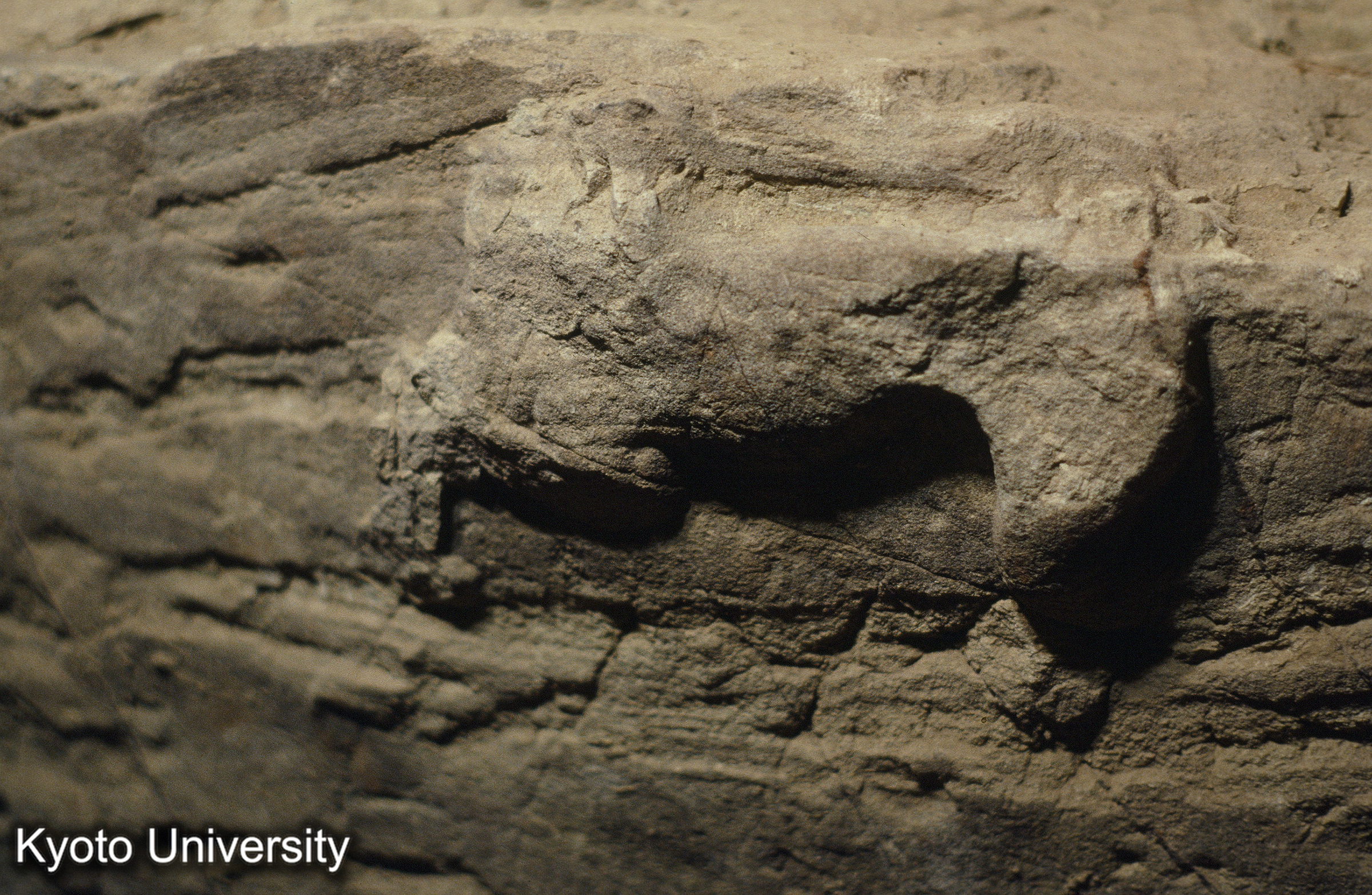 ［スライド］ (1)