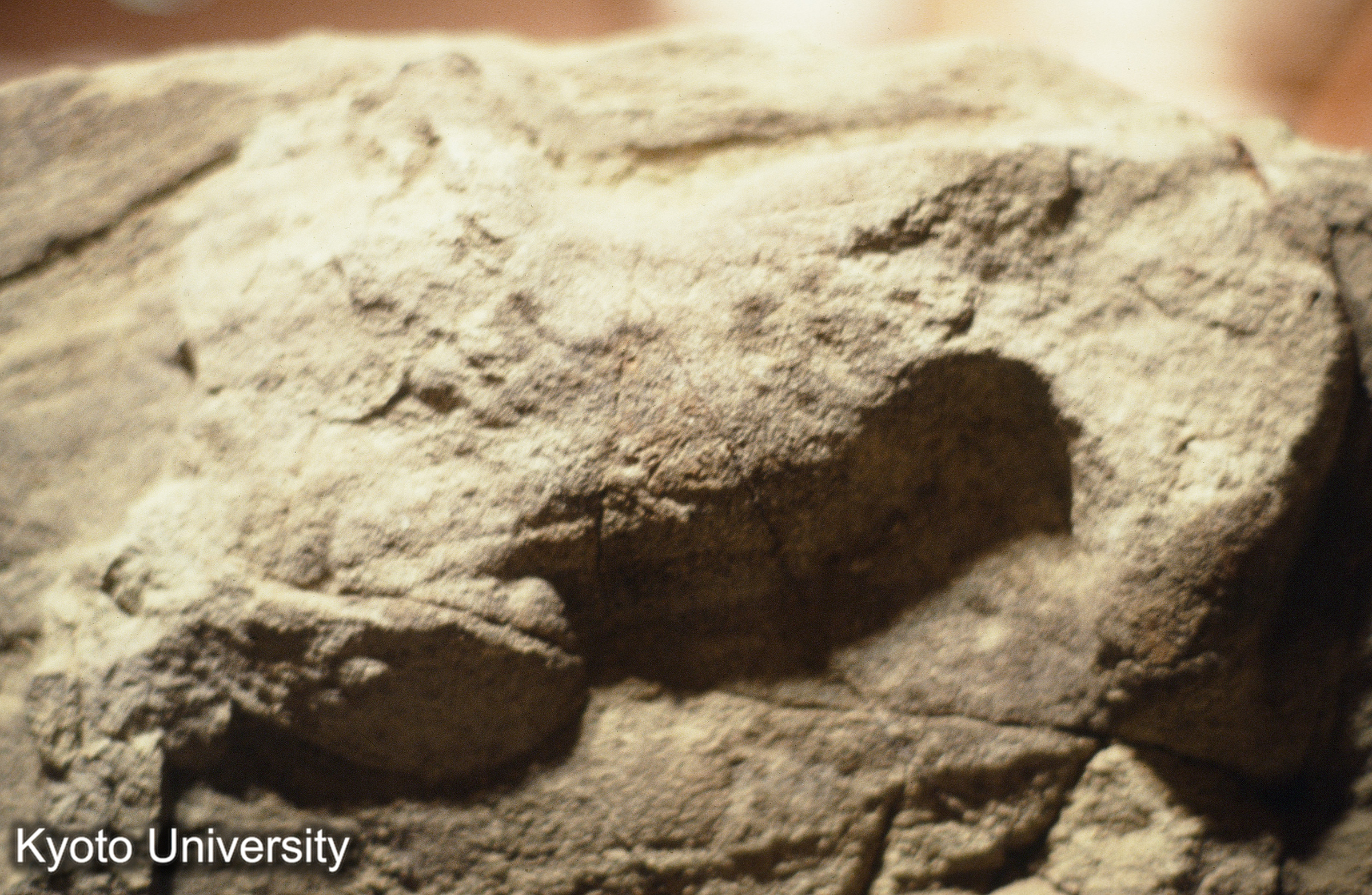 ［スライド］ (1)