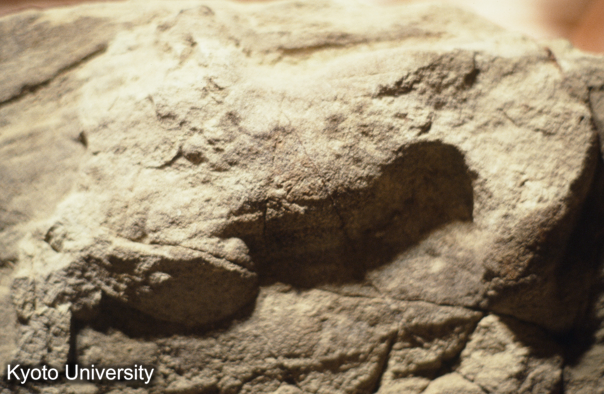 ［スライド］ (1)