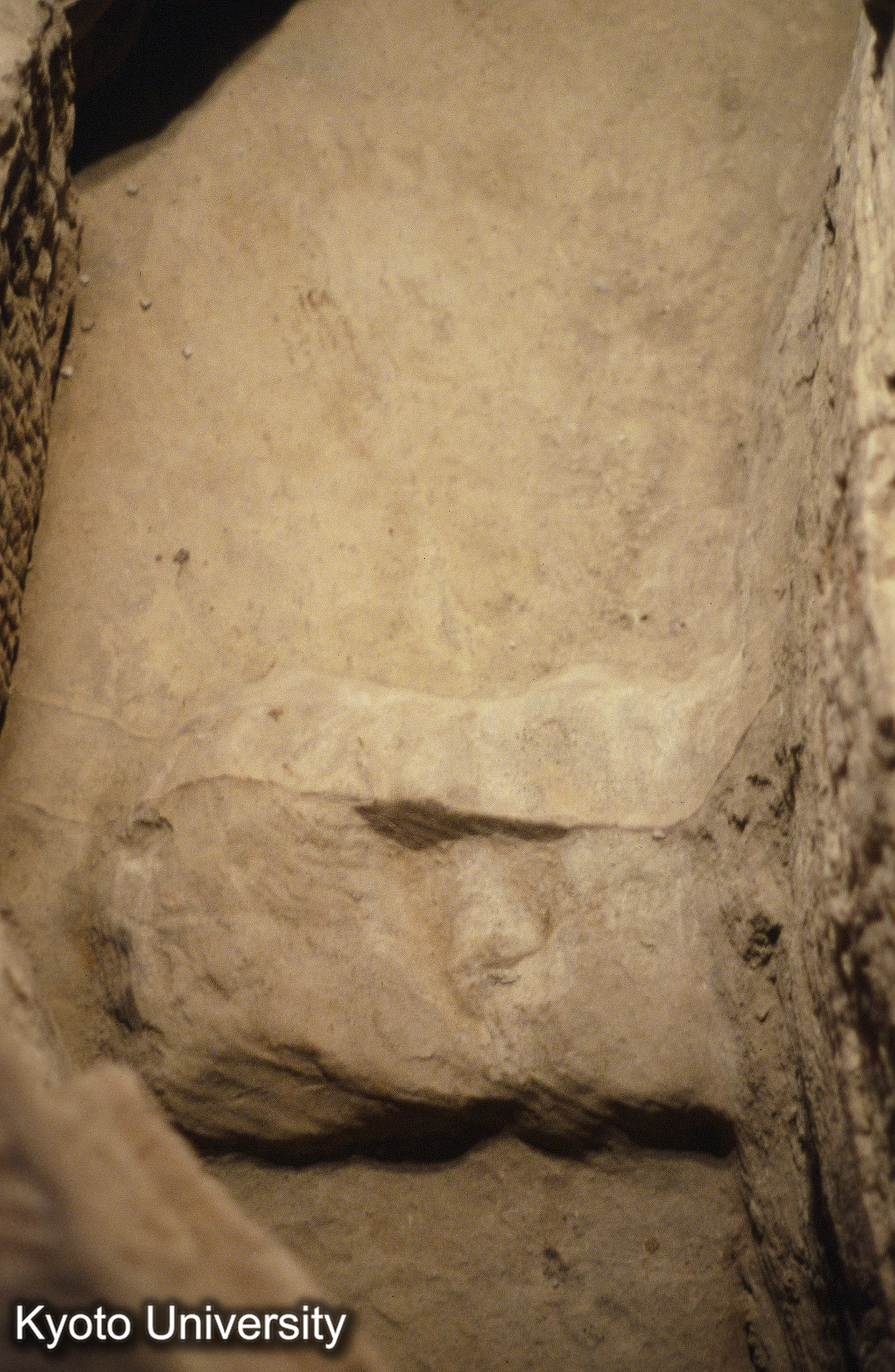 ［スライド］ (1)