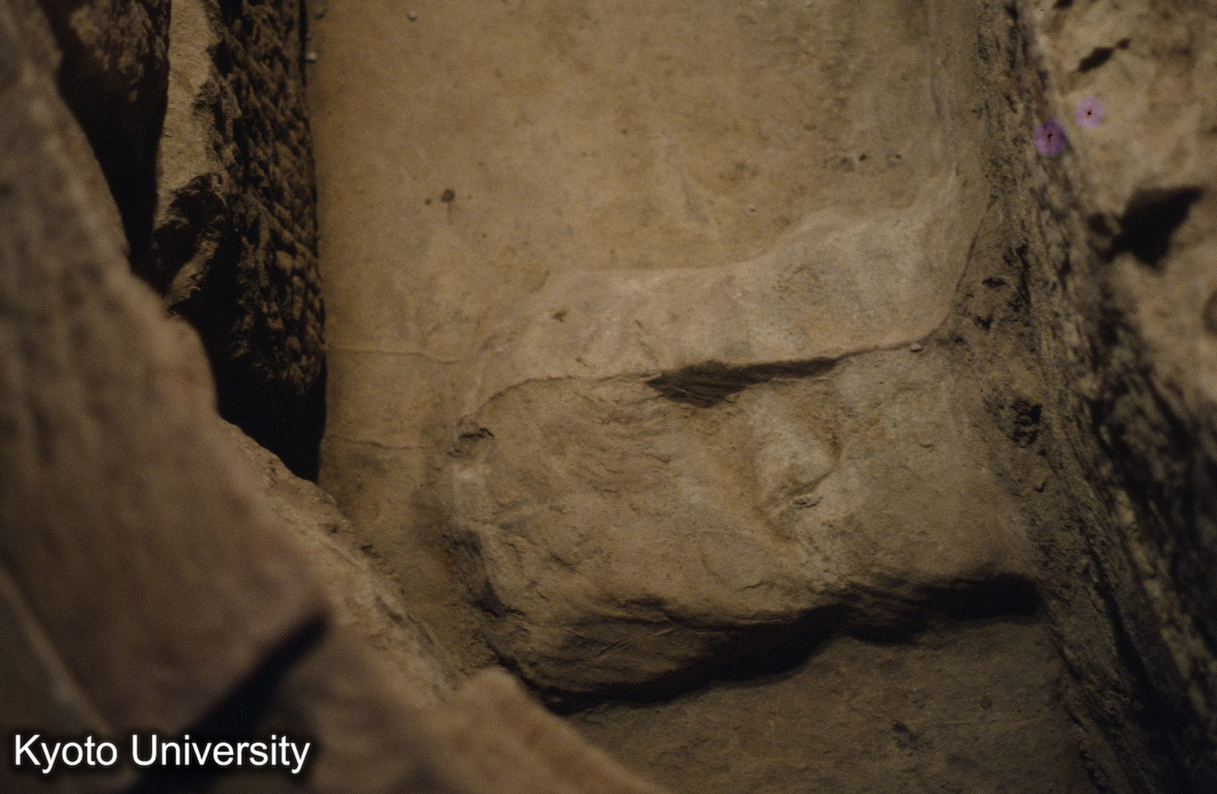 ［スライド］ (1)