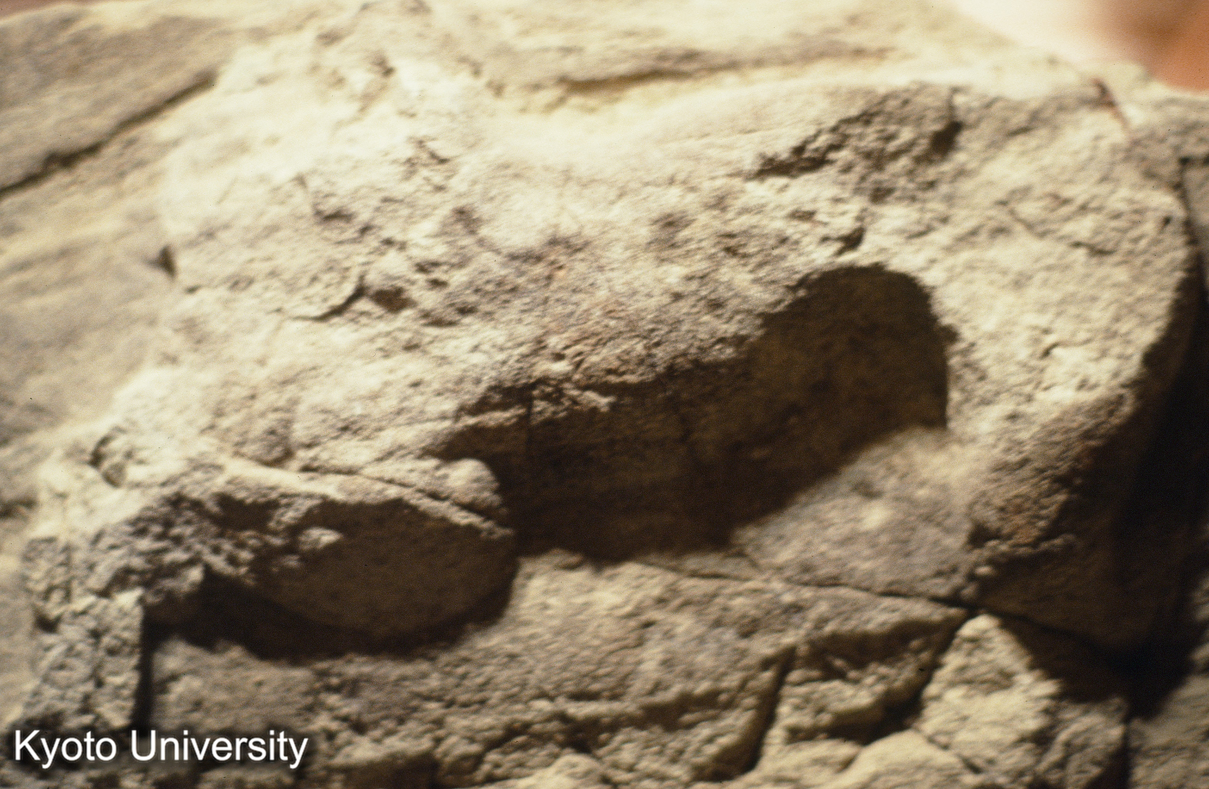 ［スライド］ (1)