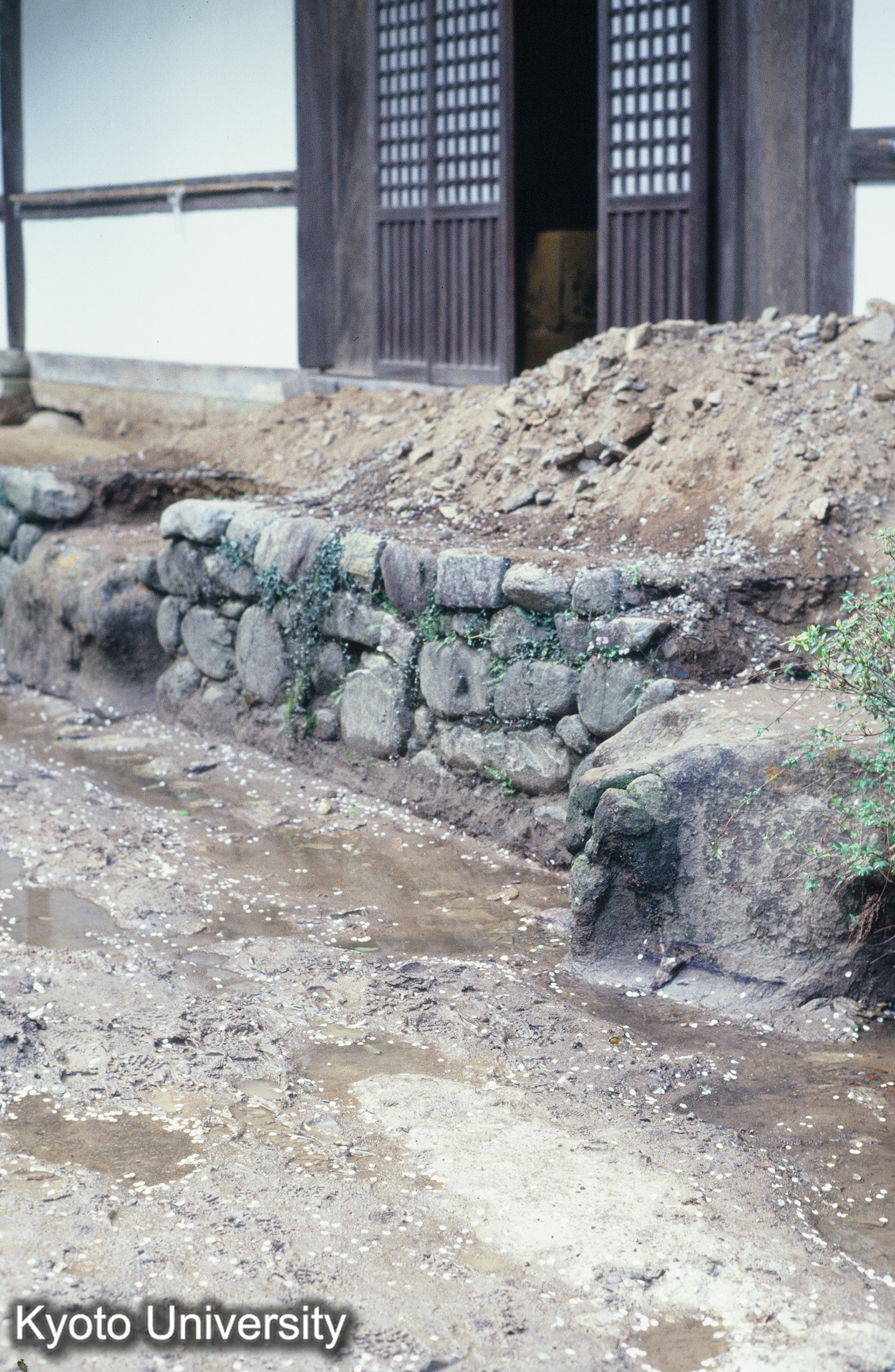 ［スライド］ (1)