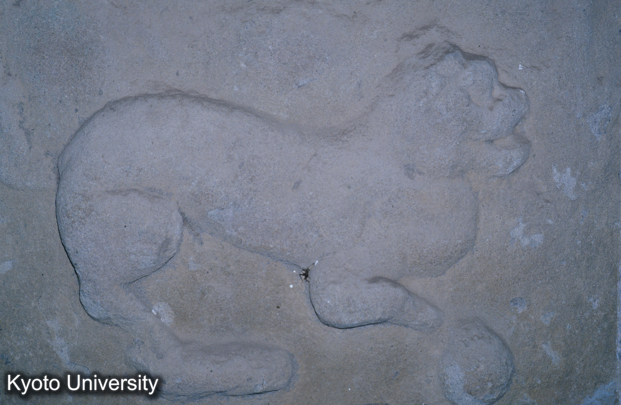 ［スライド］ (1)