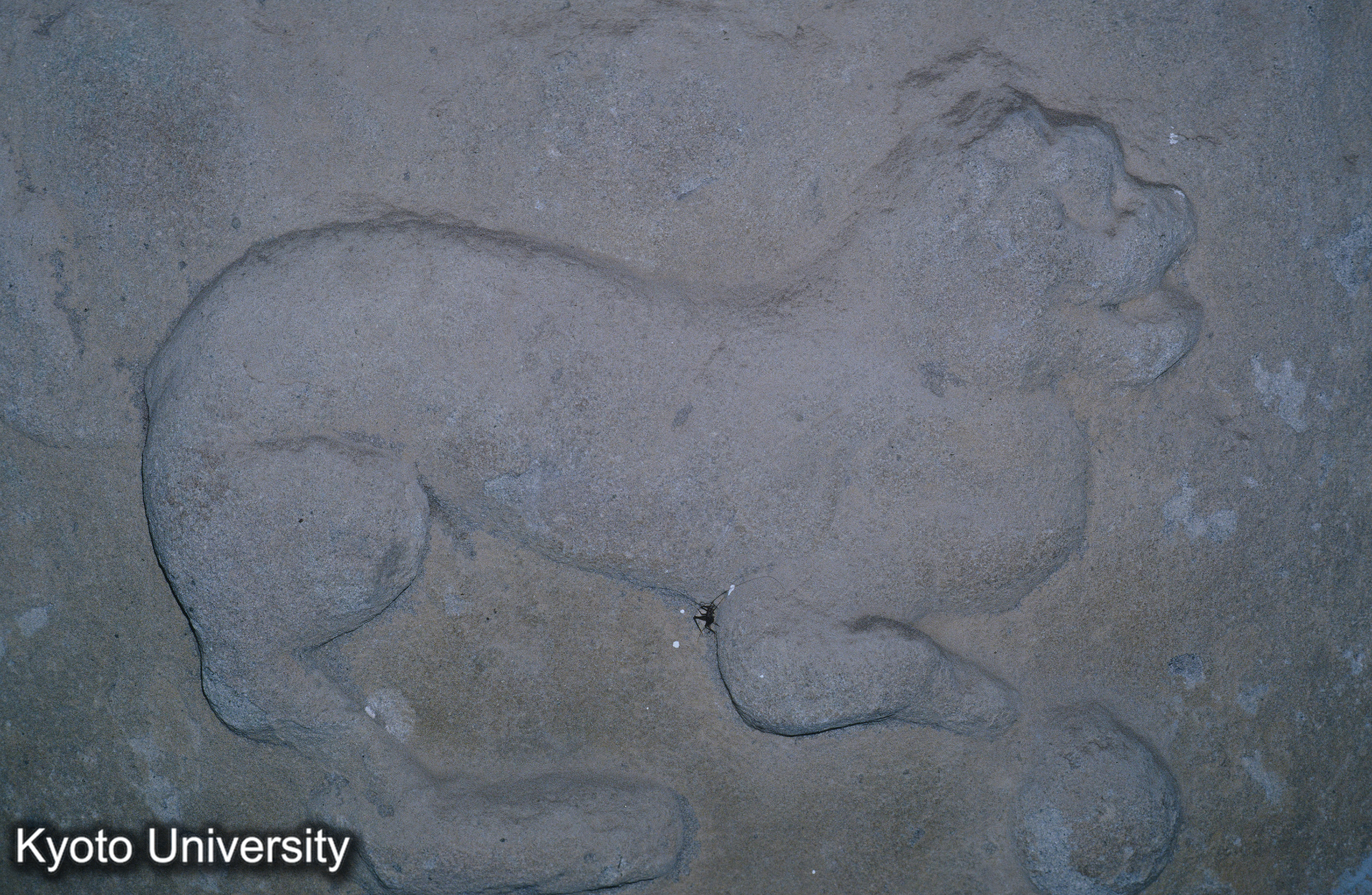 ［スライド］ (1)