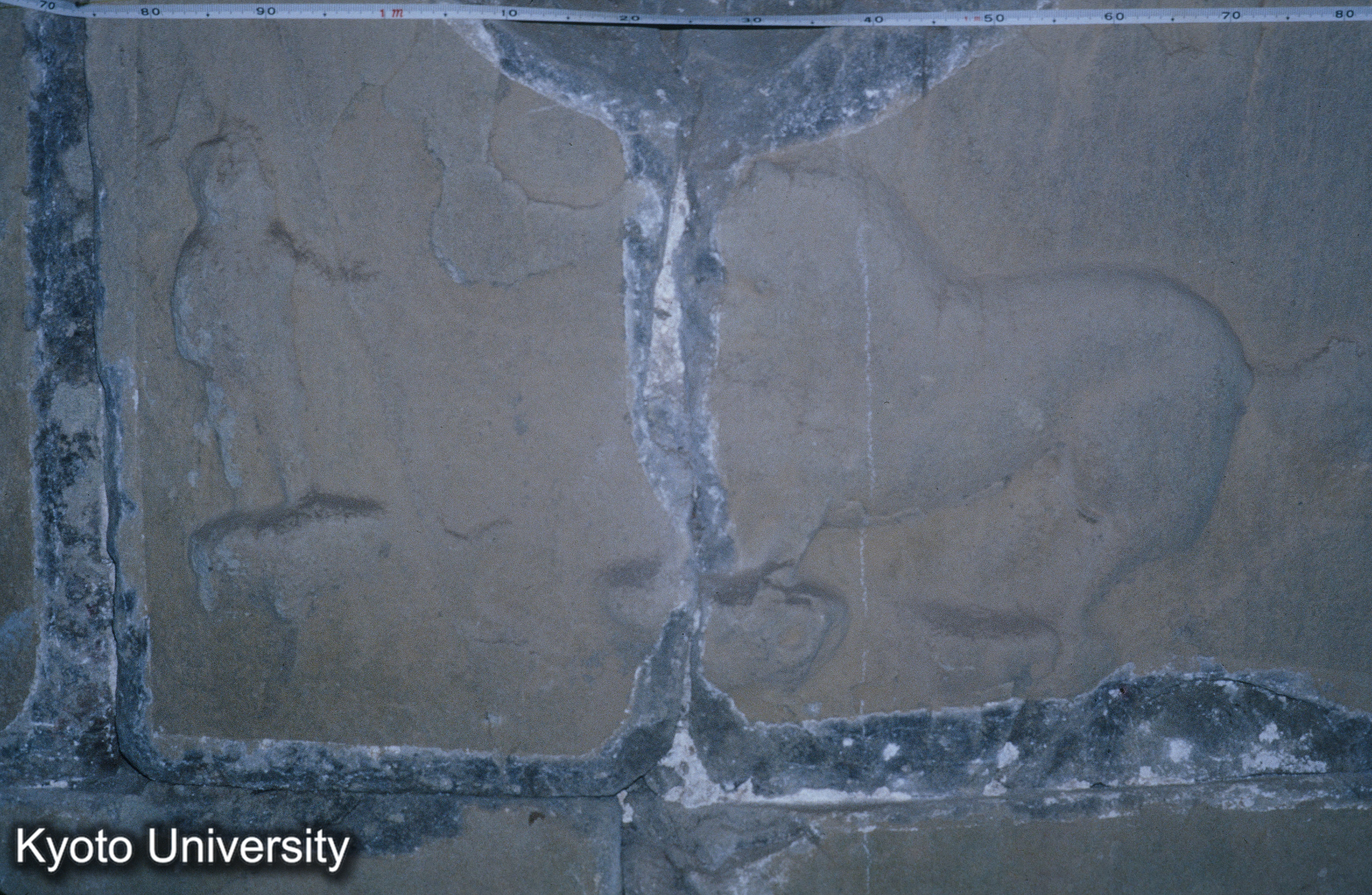 ［スライド］ (1)