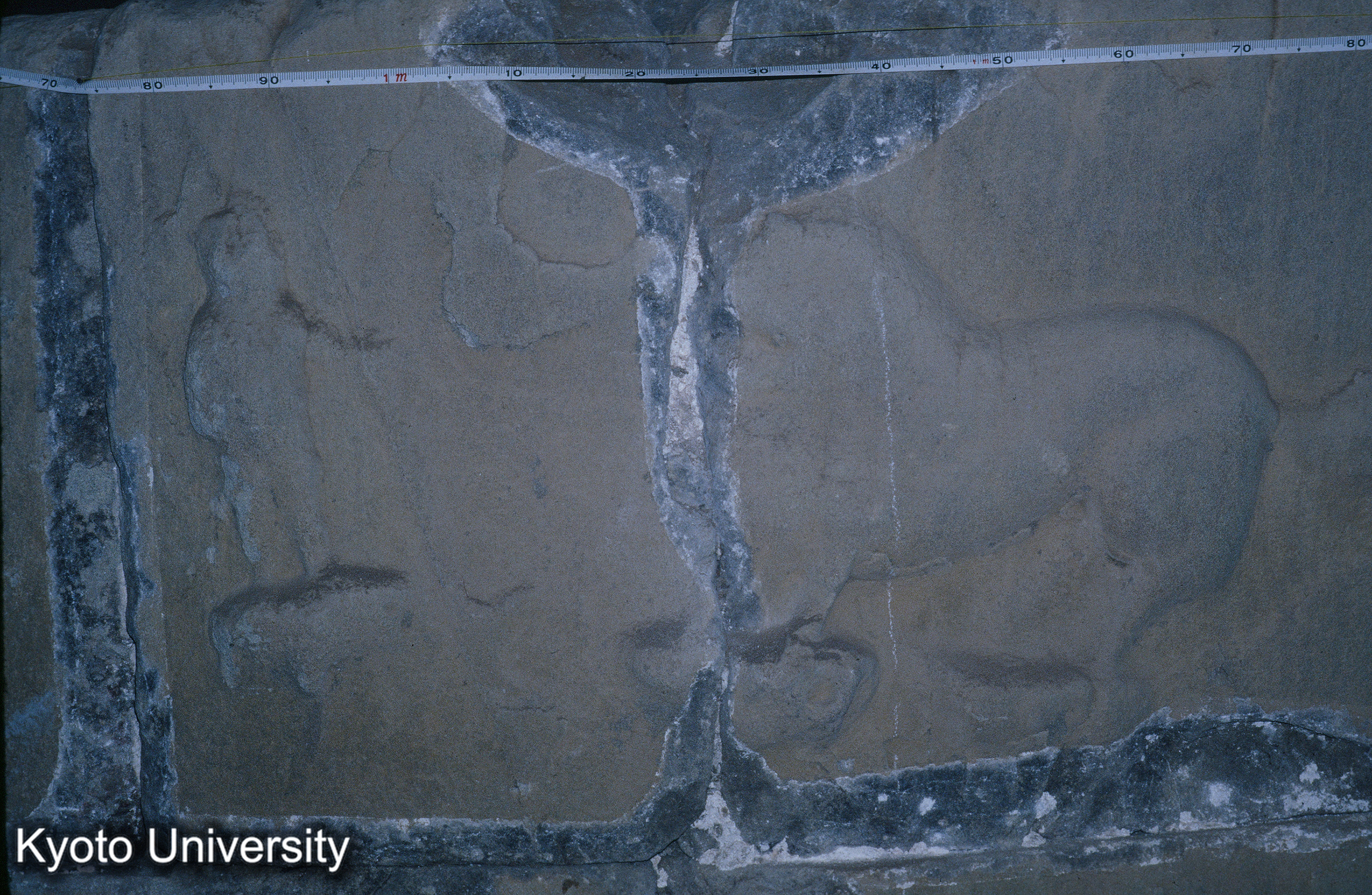 ［スライド］ (1)