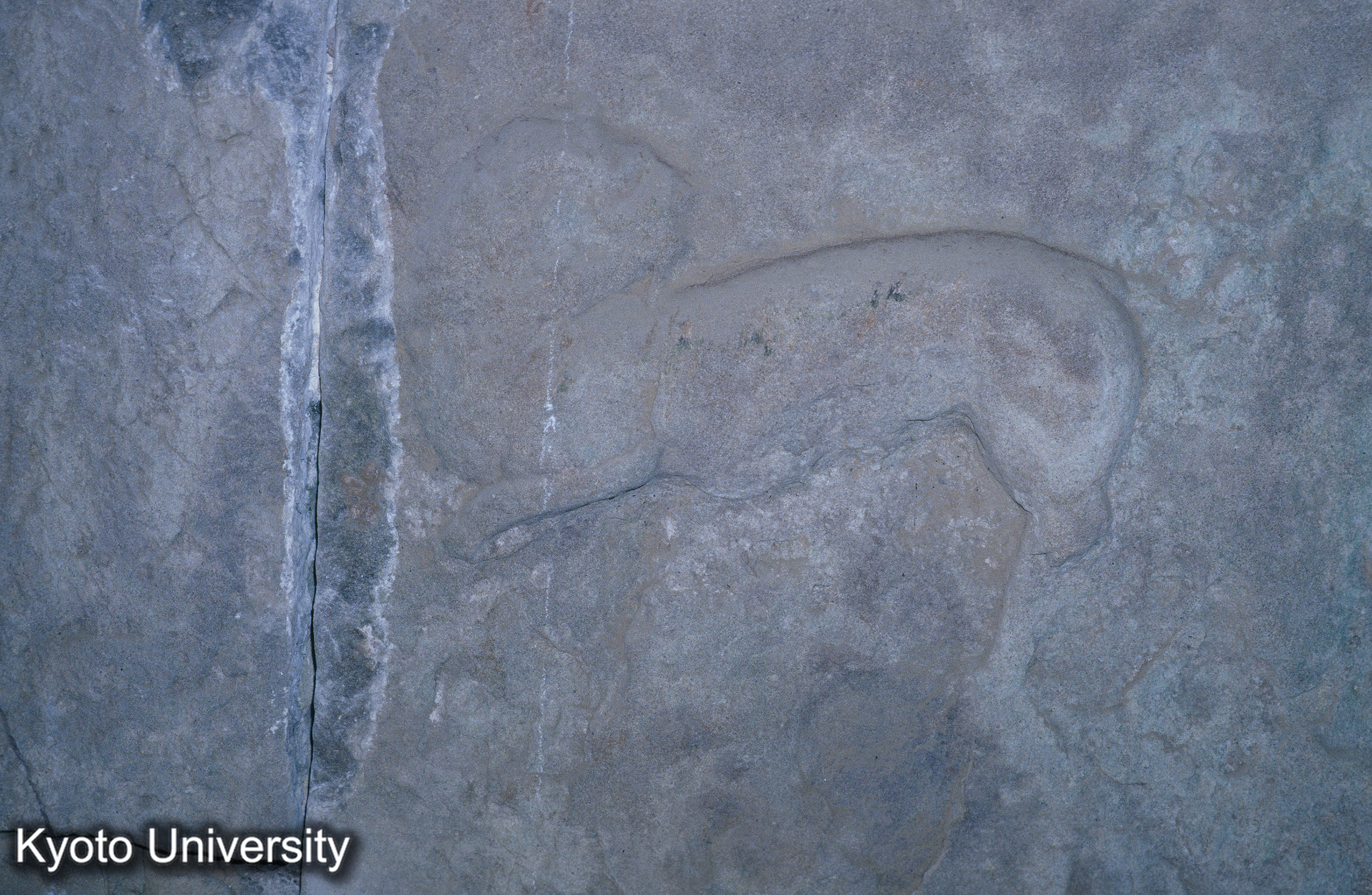 ［スライド］ (1)