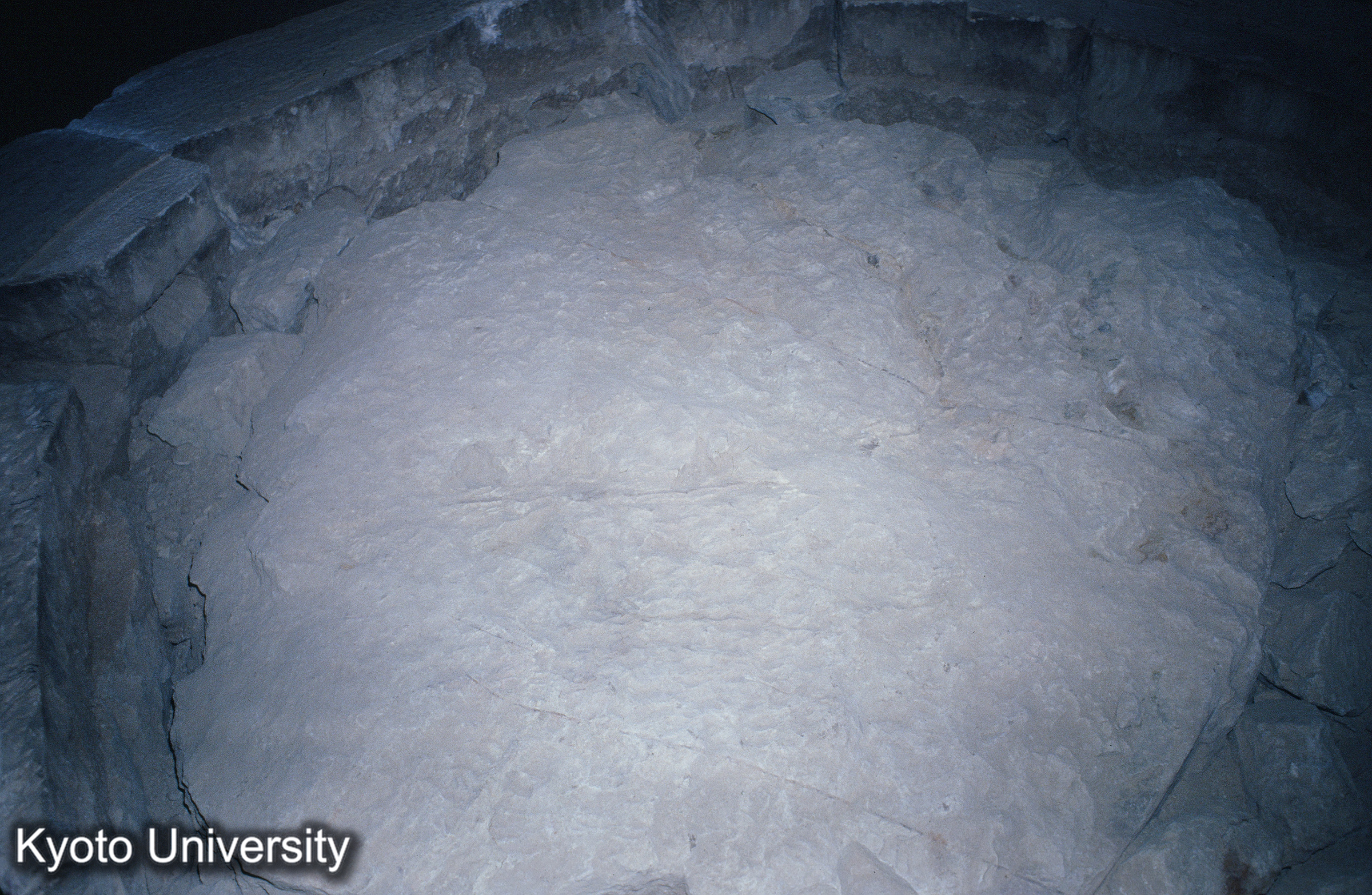 ［スライド］ (1)