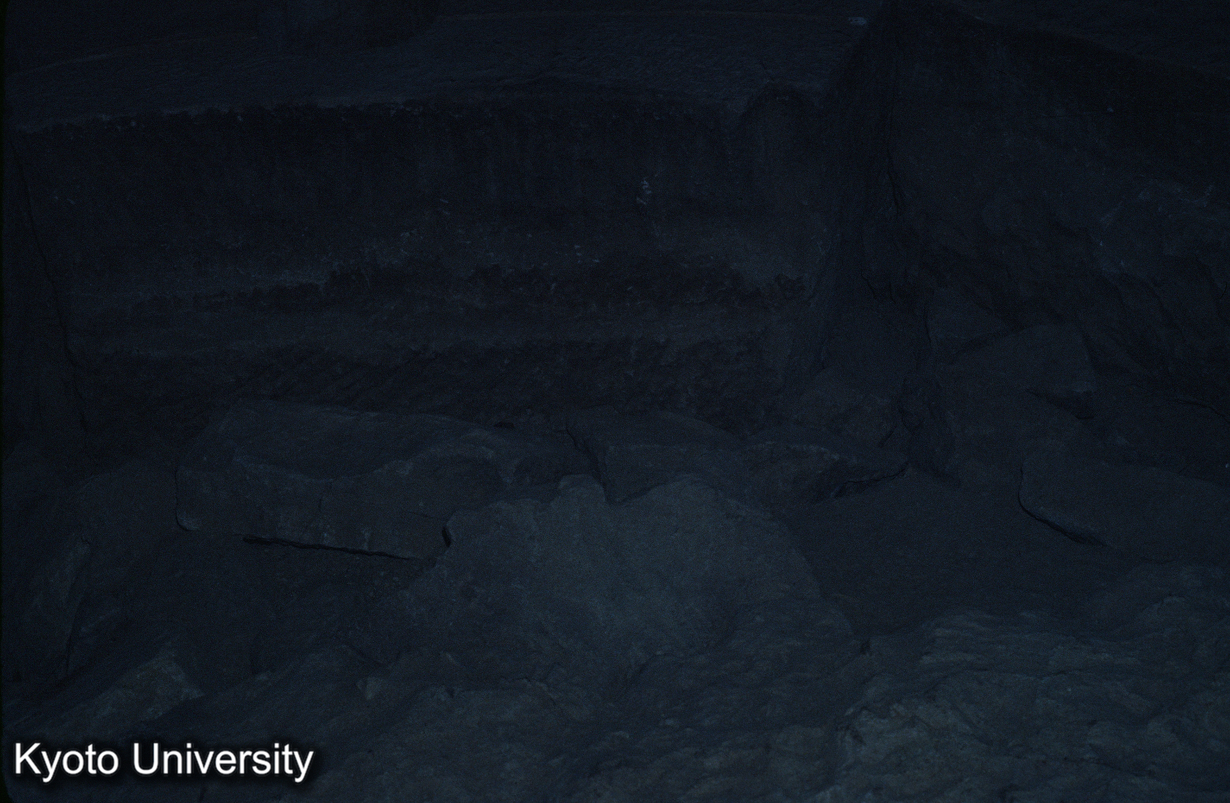 ［スライド］ (1)