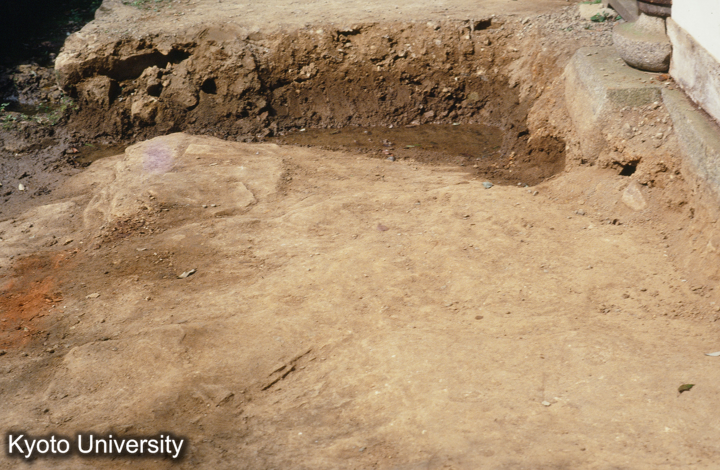 ［スライド］ (1)