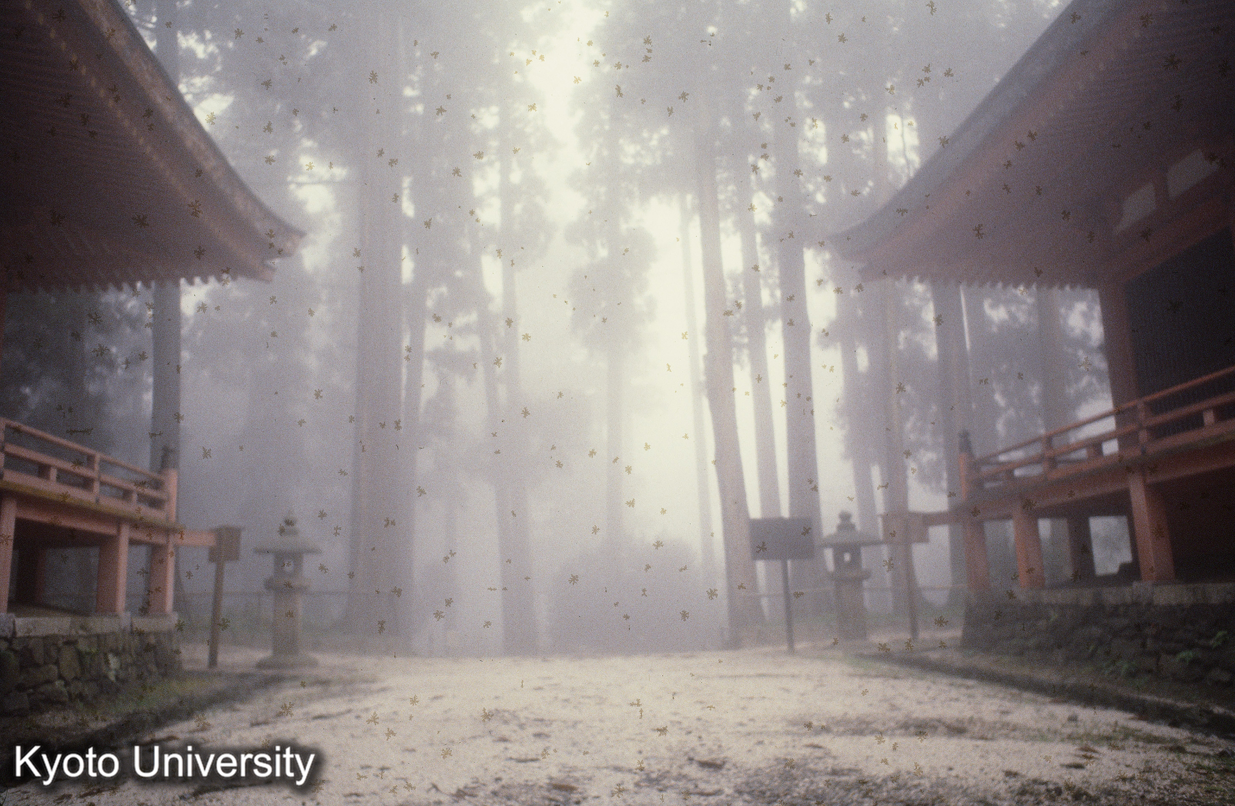 比叡山担い堂 (1)