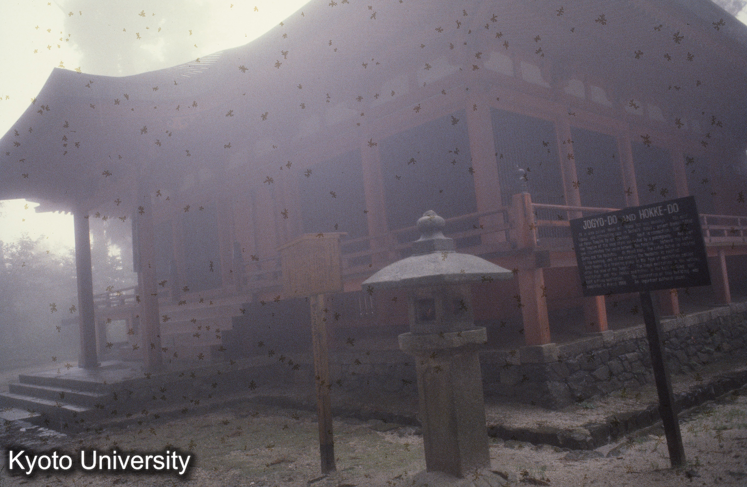 ［スライド］ (1)