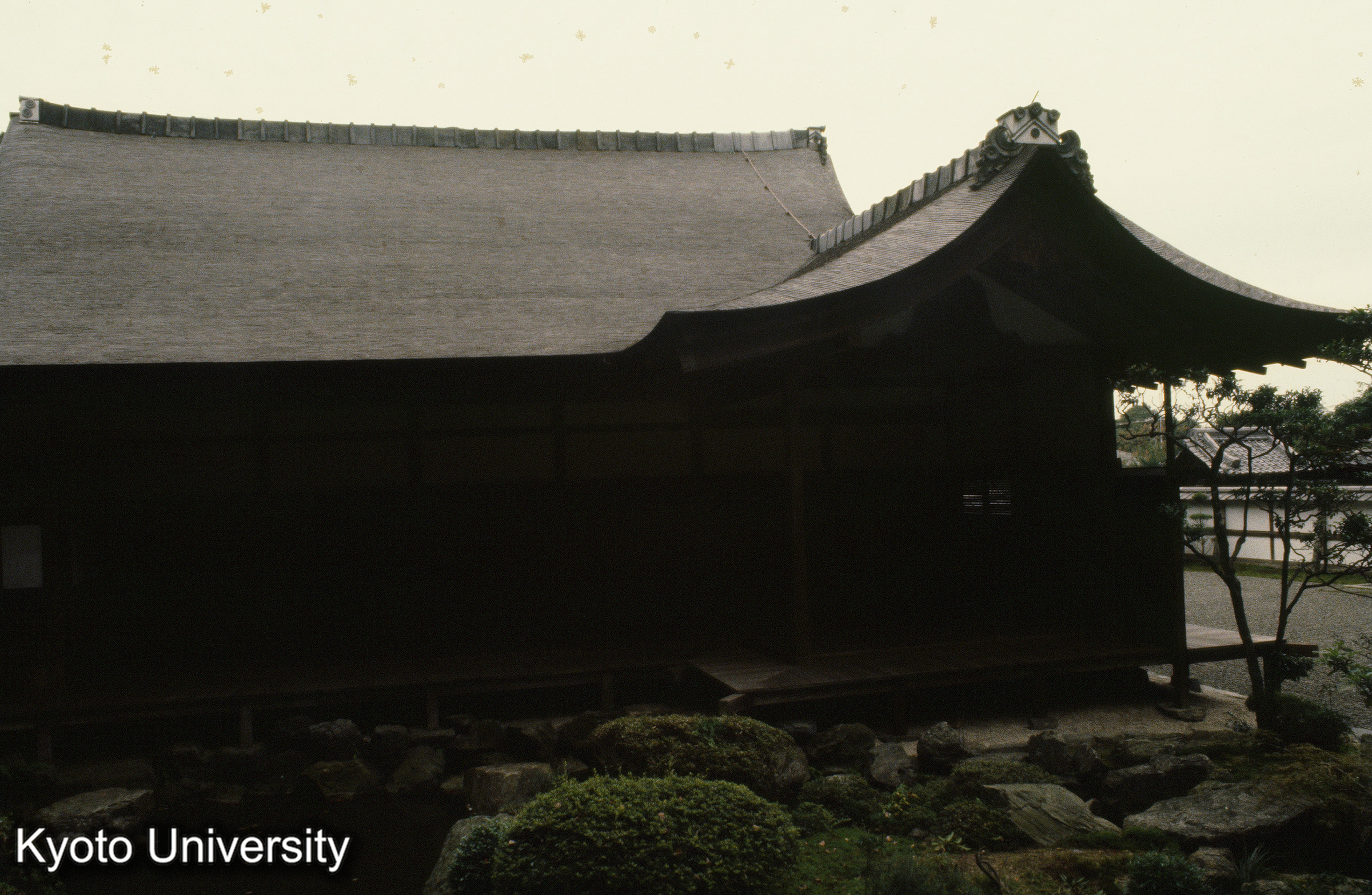 ［スライド］ (1)