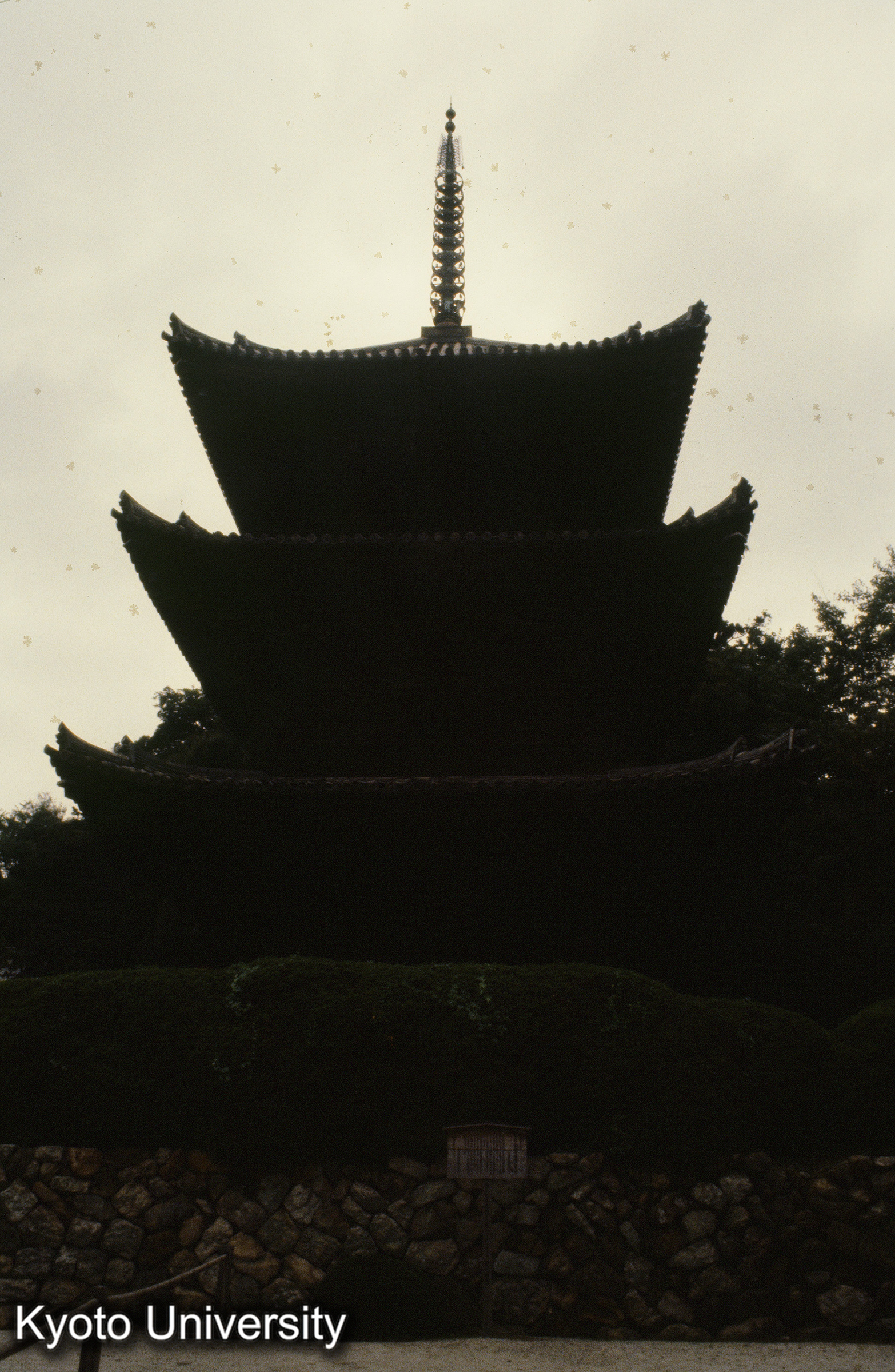 ［スライド］ (1)