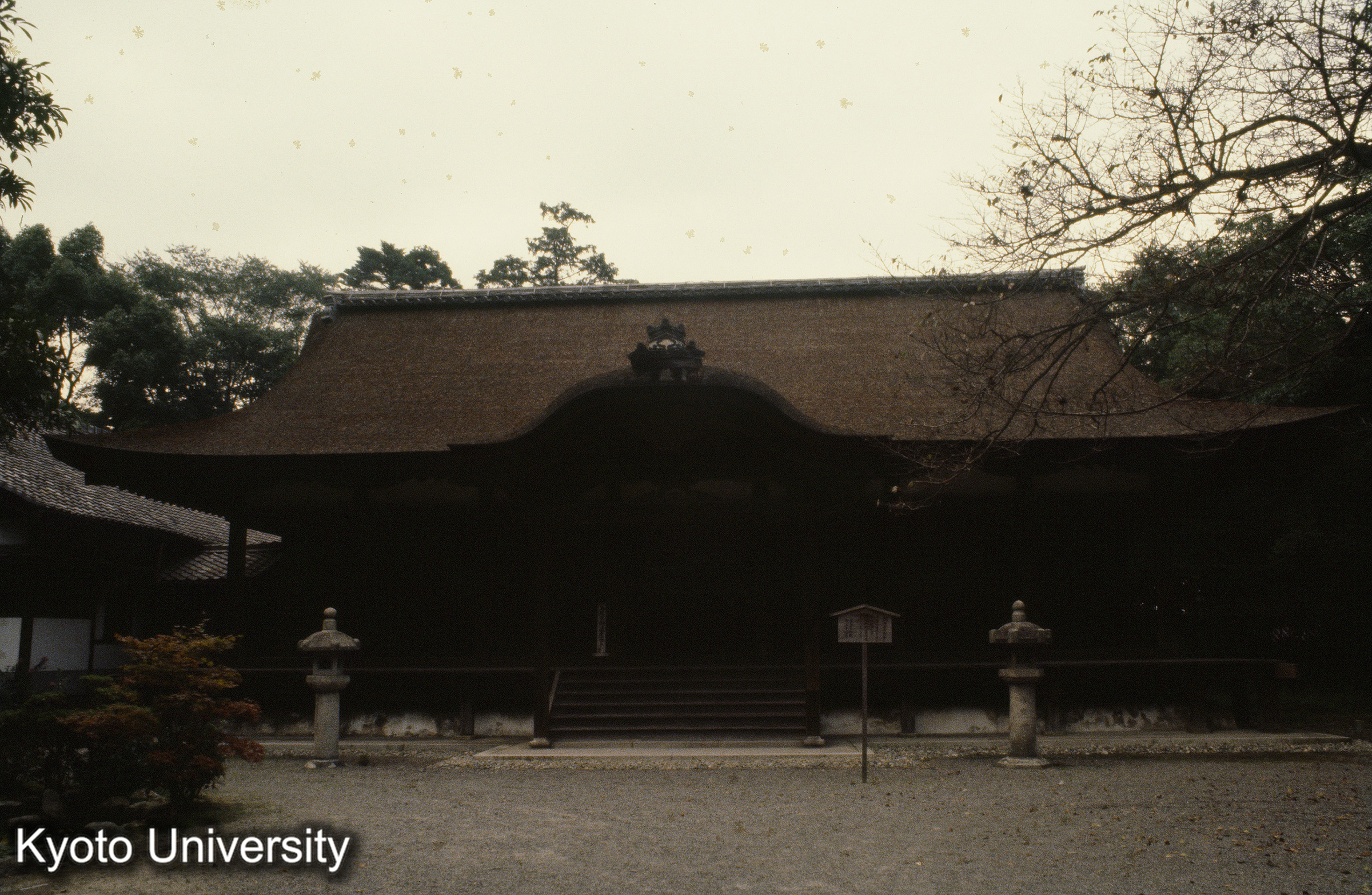 ［スライド］ (1)