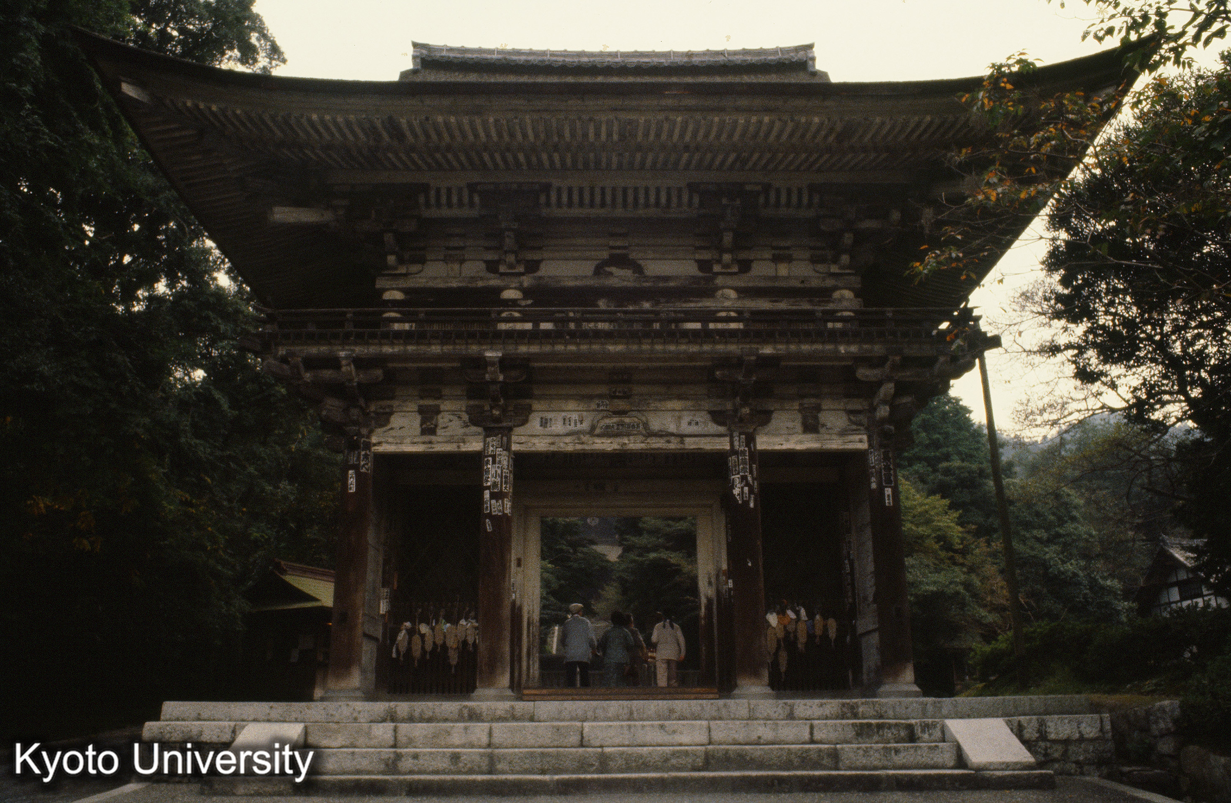 ［スライド］ (1)