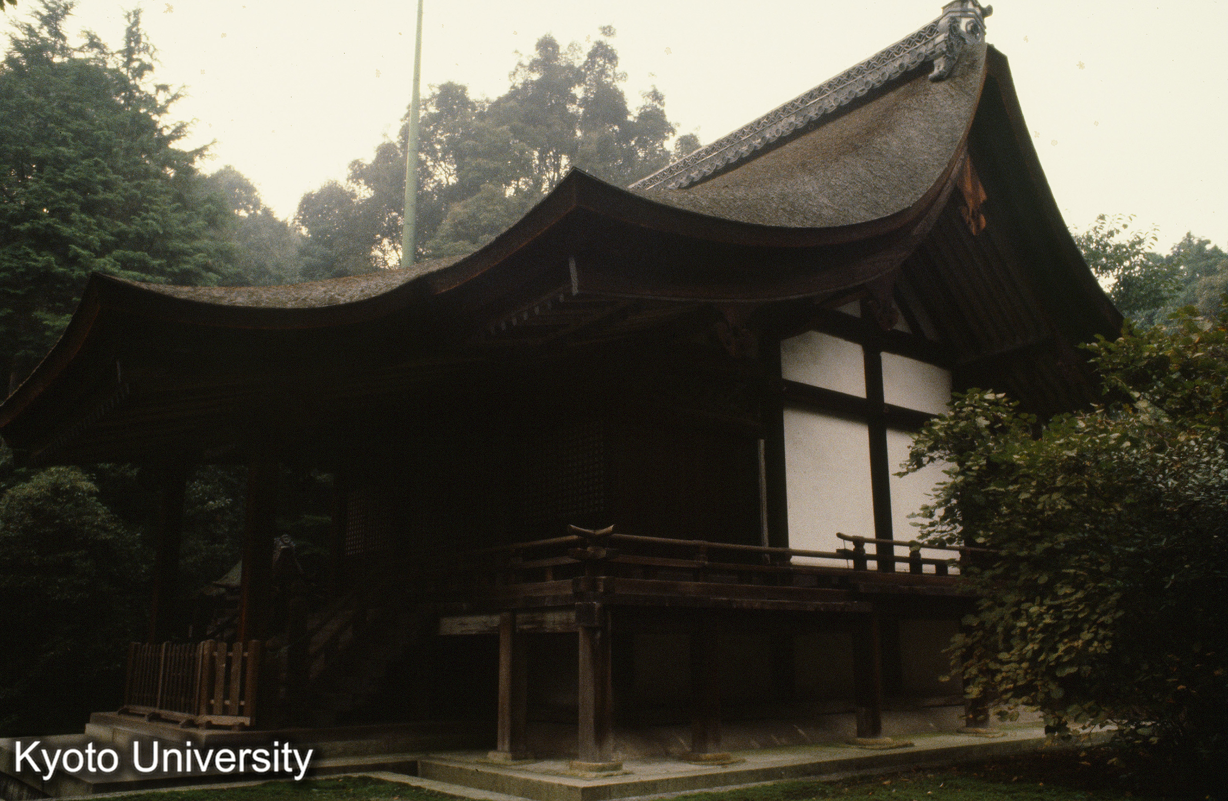 園城寺新羅善神堂 (1)
