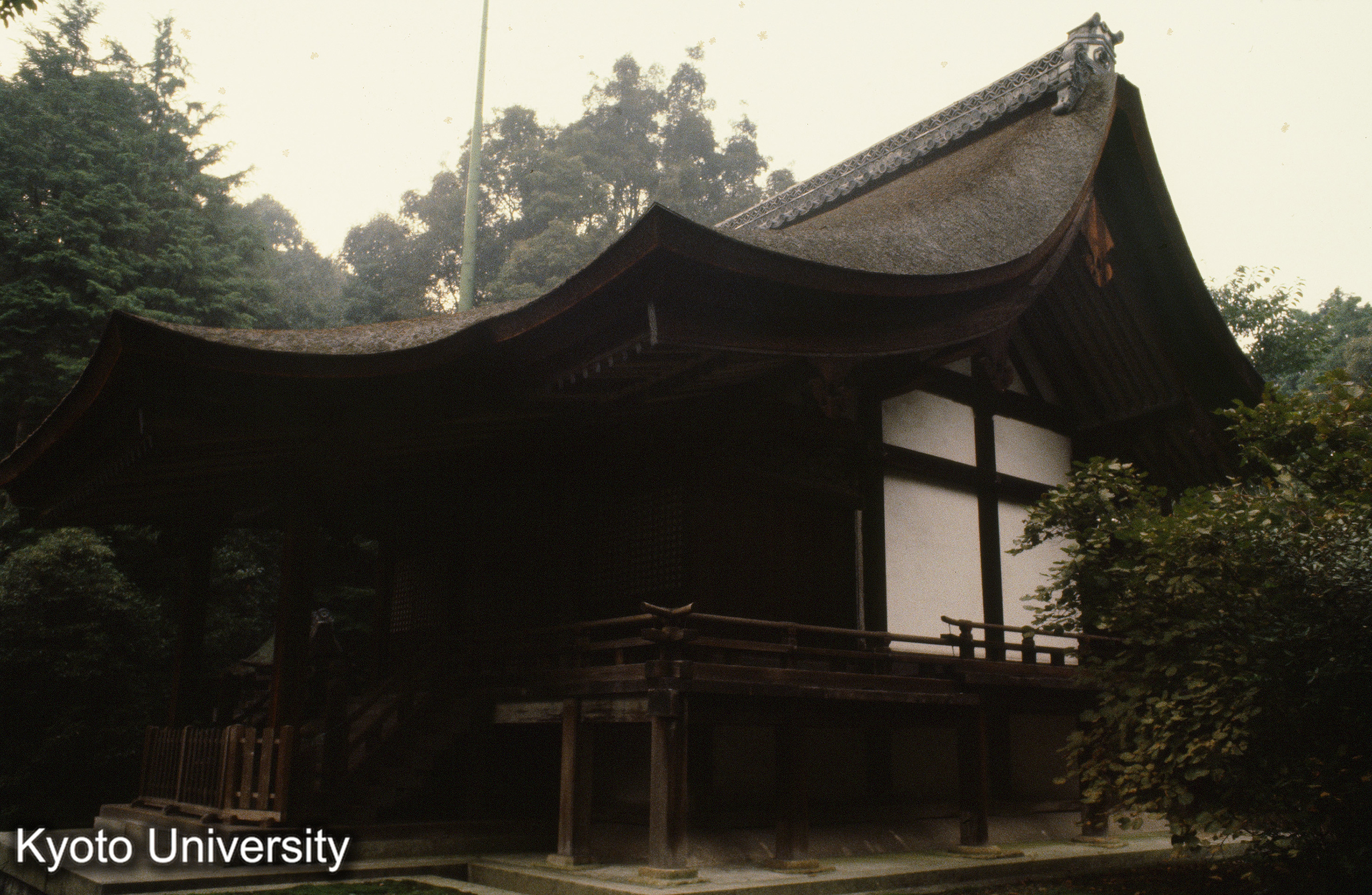 園城寺新羅善神堂 (1)