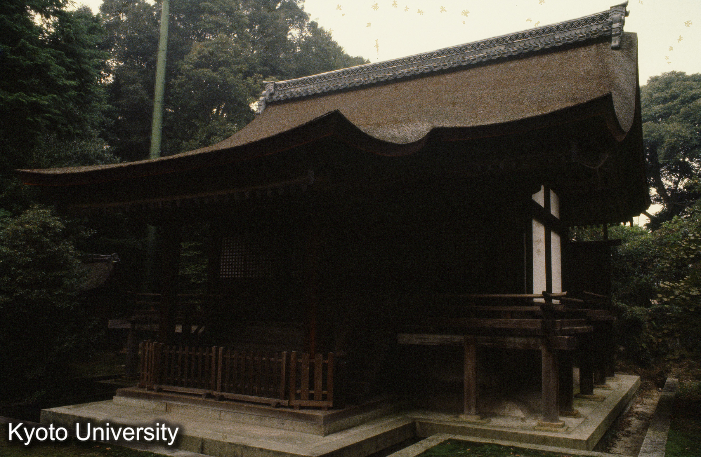 ［スライド］ (1)