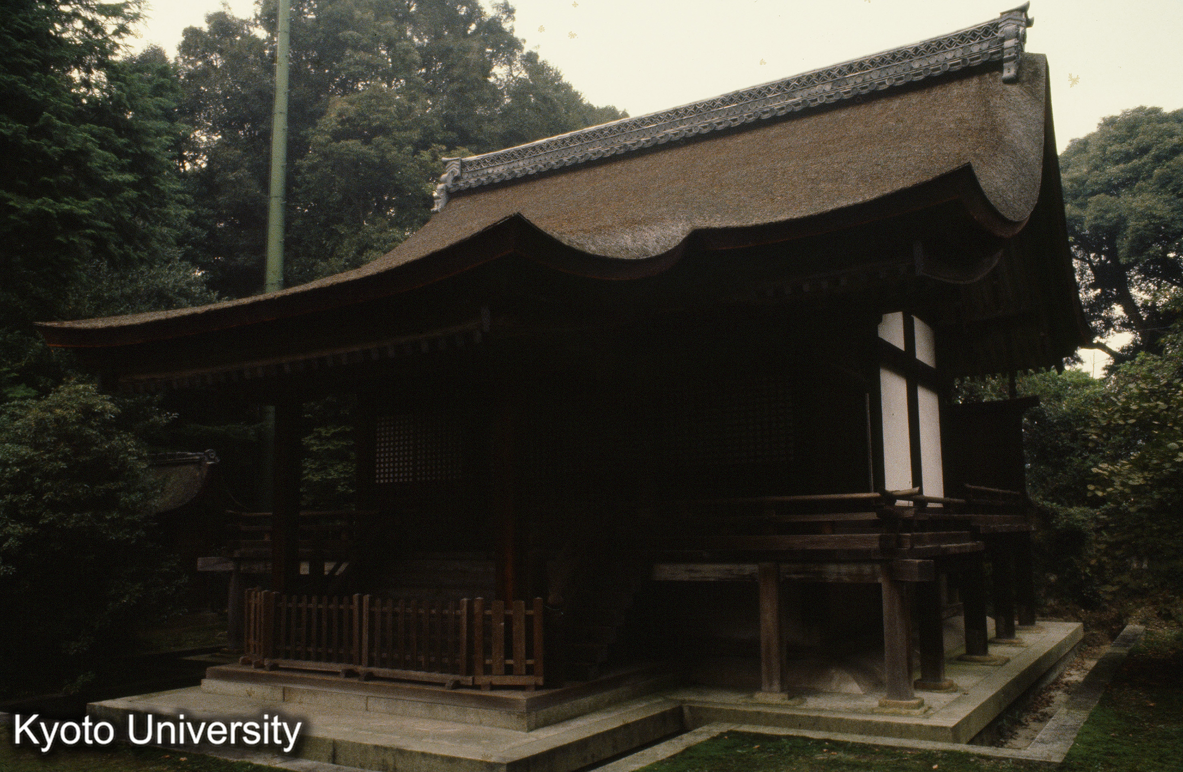 ［スライド］ (1)