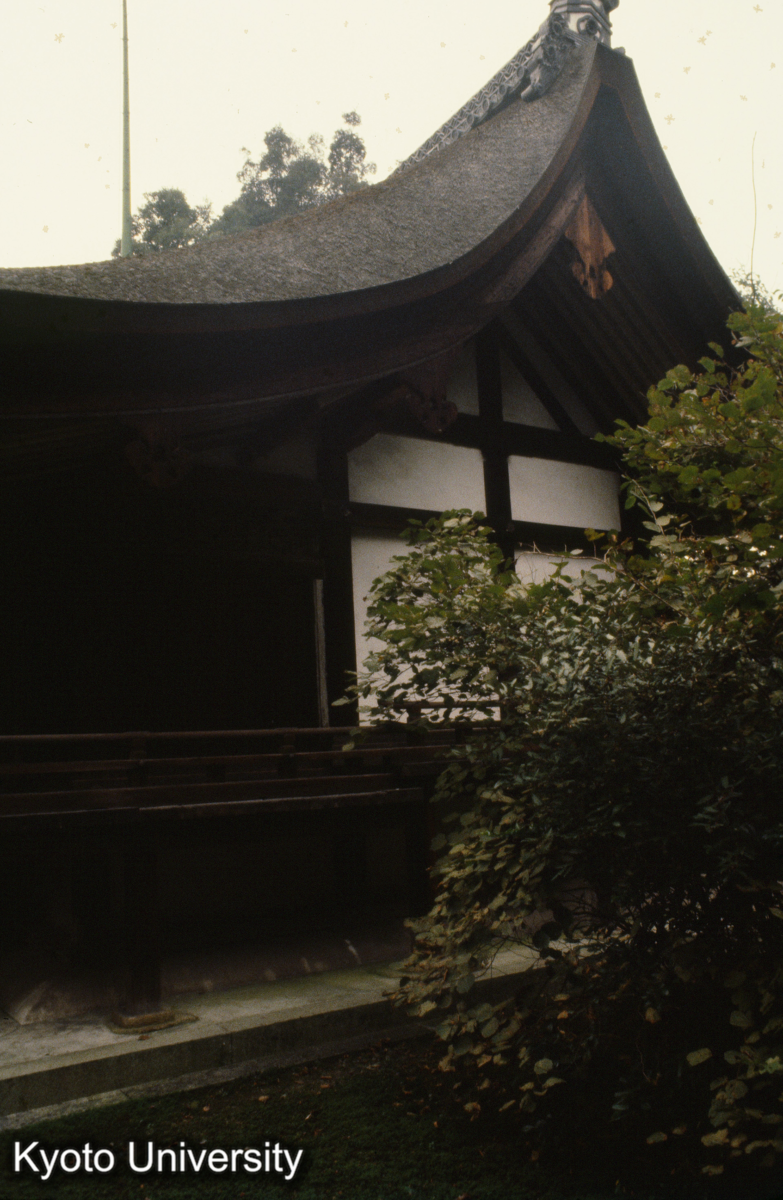 ［スライド］ (1)