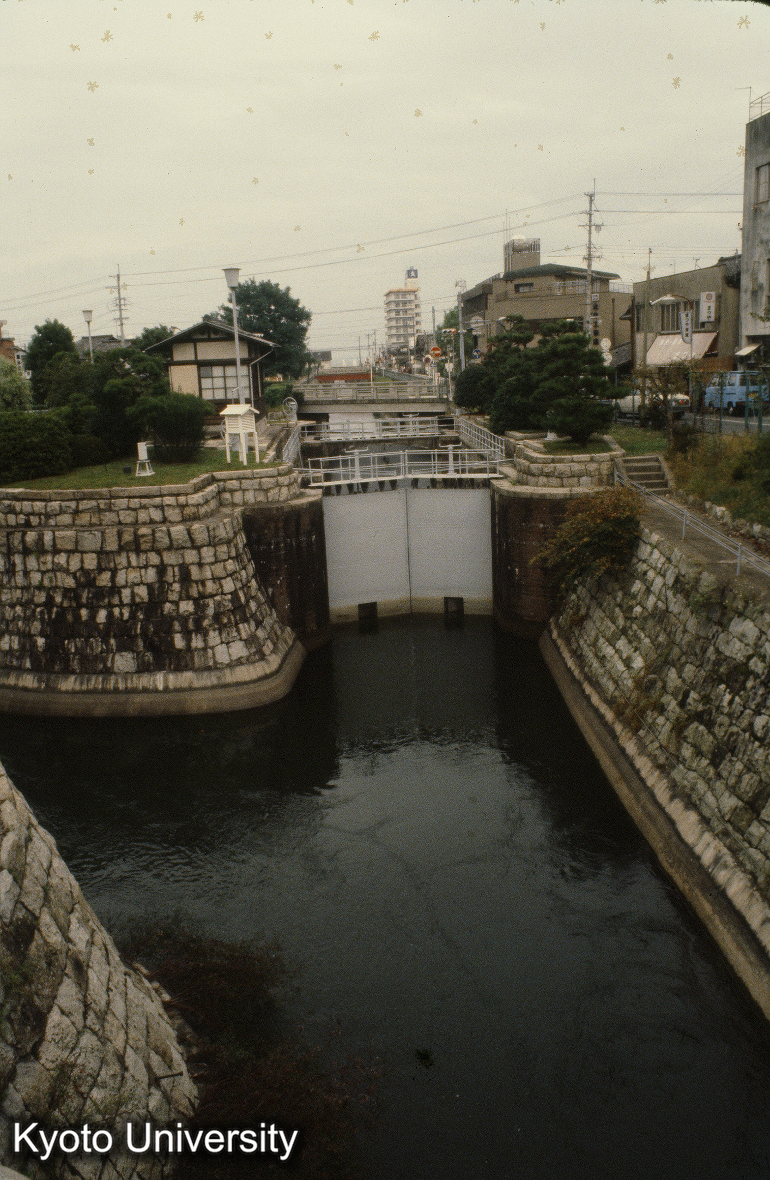 園城寺付近疏水 (1)