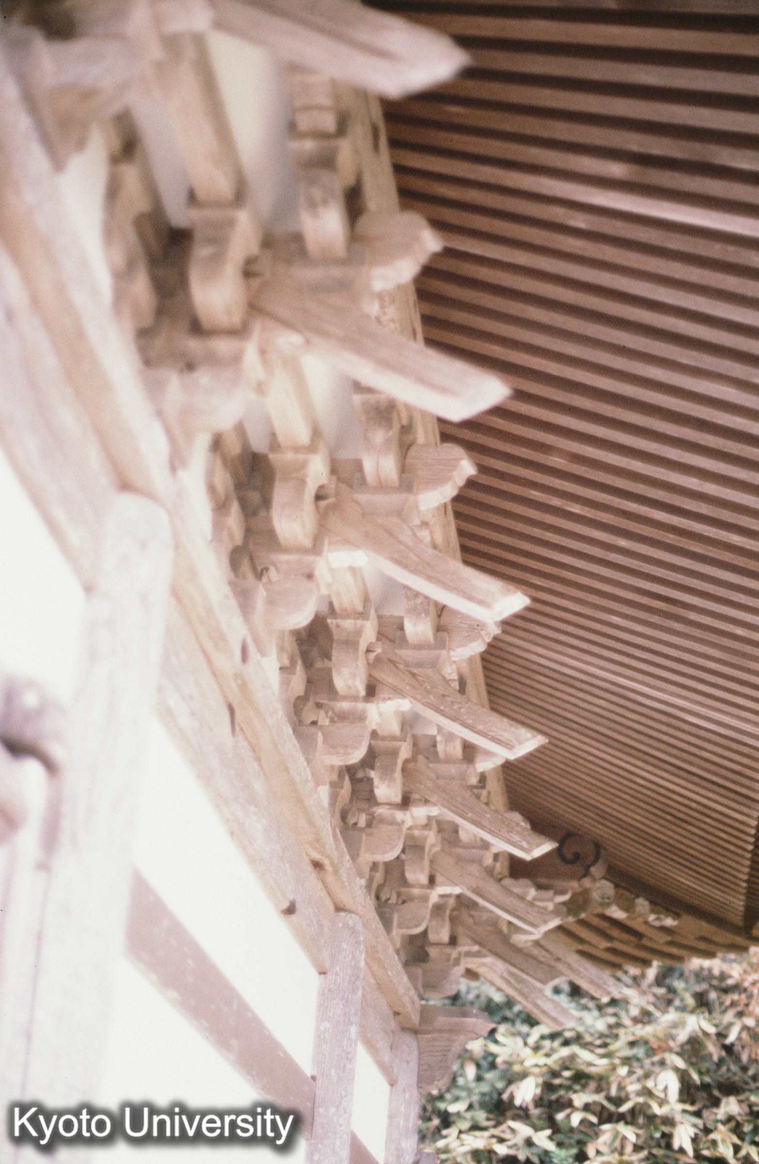 ［スライド］ (1)