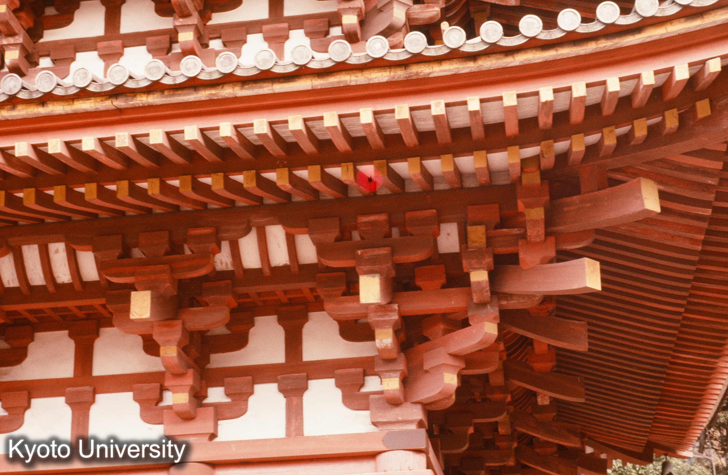 醍醐寺五重塔 斗栱 (1)