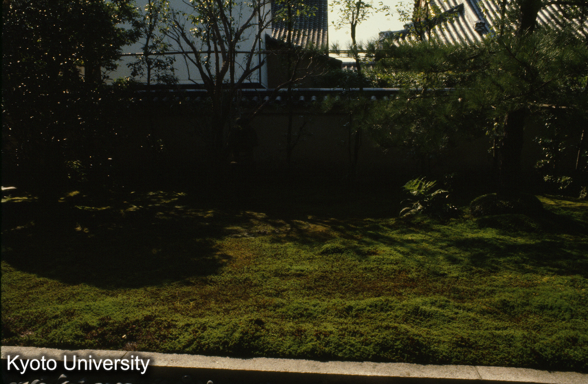 大徳寺龍源院 (1)
