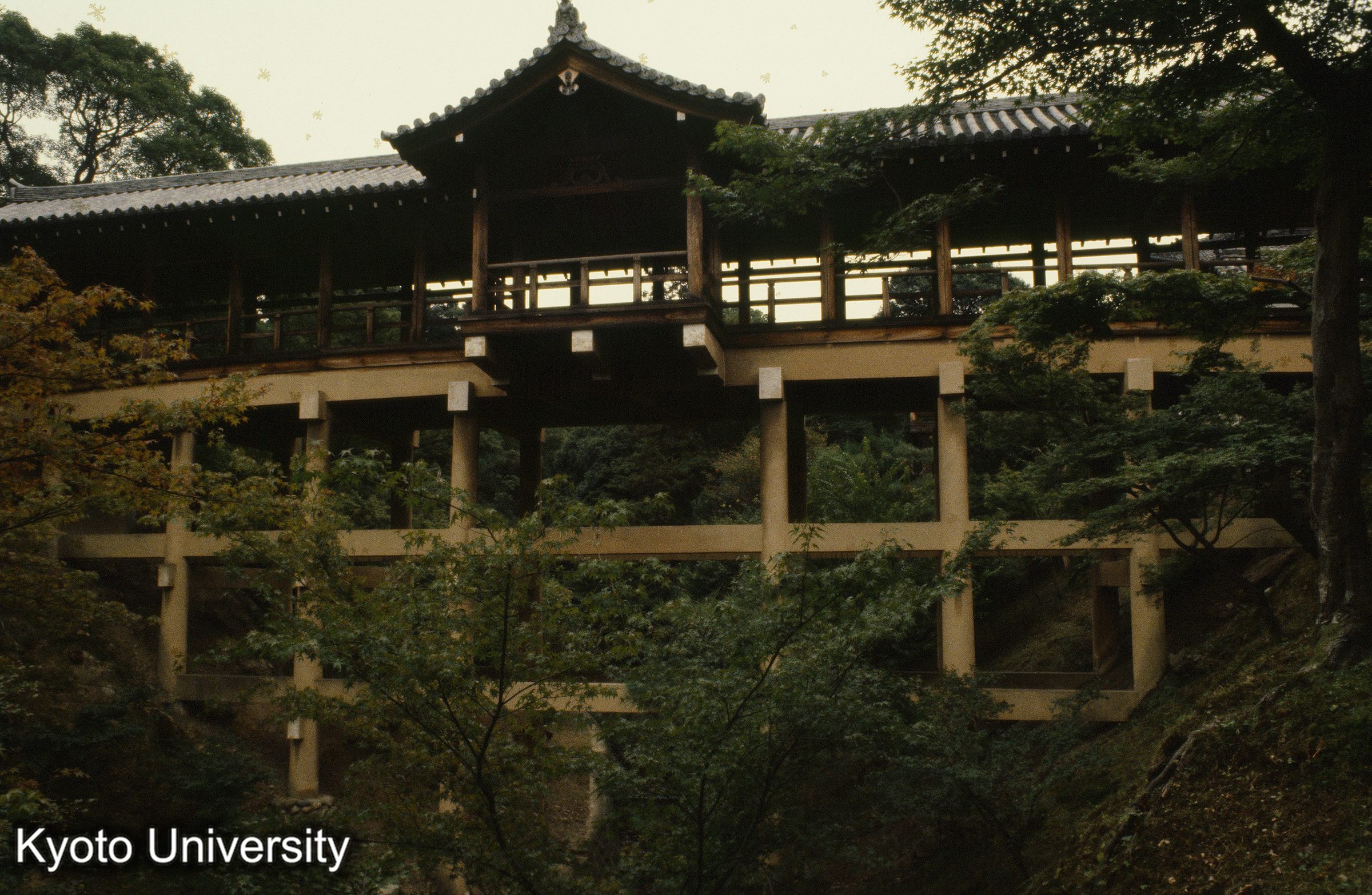 東福寺偃月橋 (1)