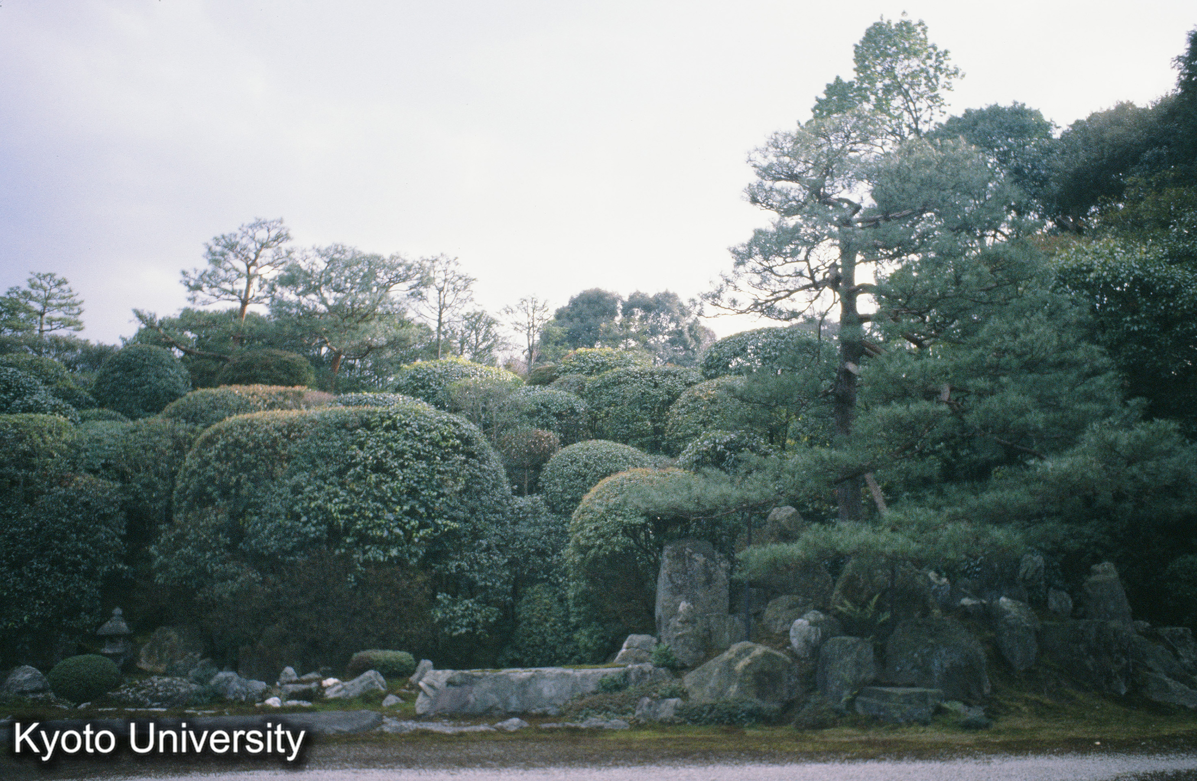 南禅寺金地院庭園 (1)