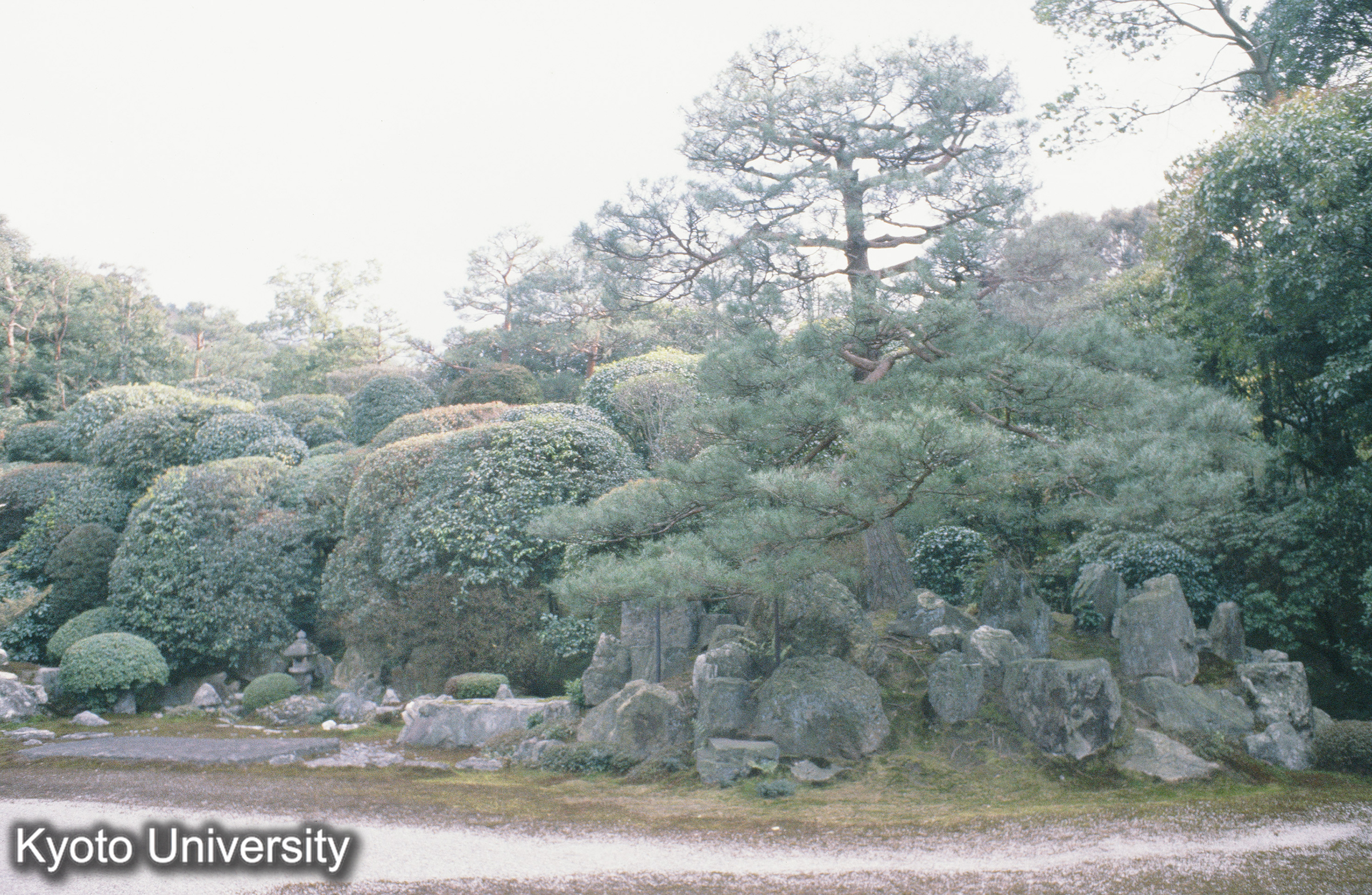 南禅寺金地院庭園 (1)
