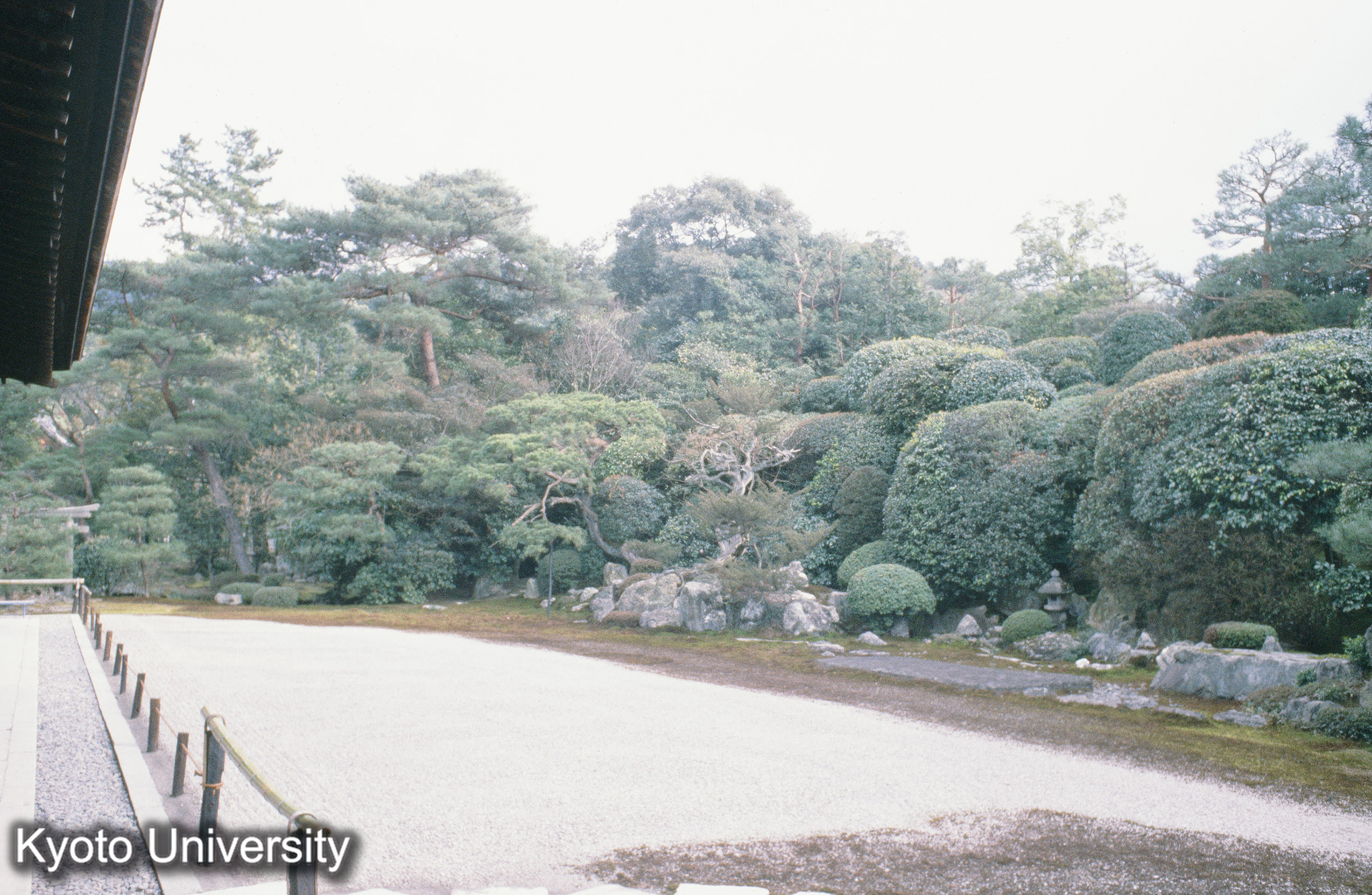 南禅寺金地院庭園 (1)