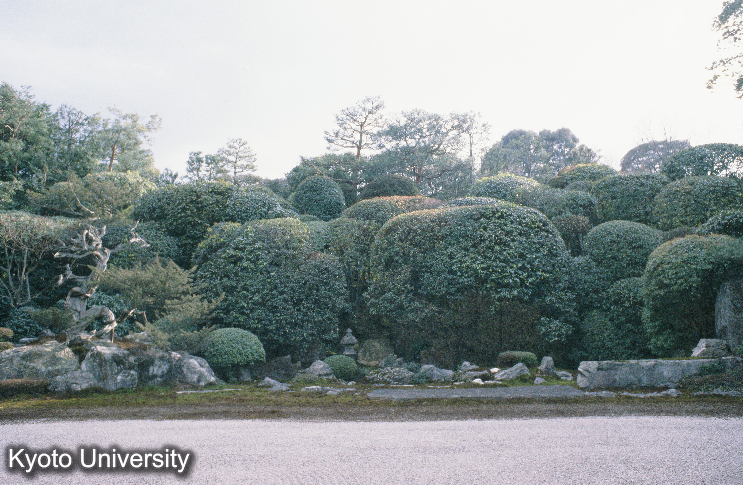 南禅寺金地院庭園 (1)