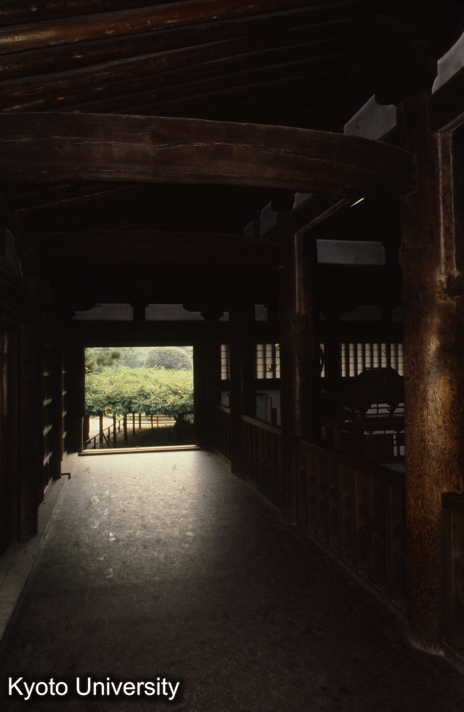 平等院 (1)