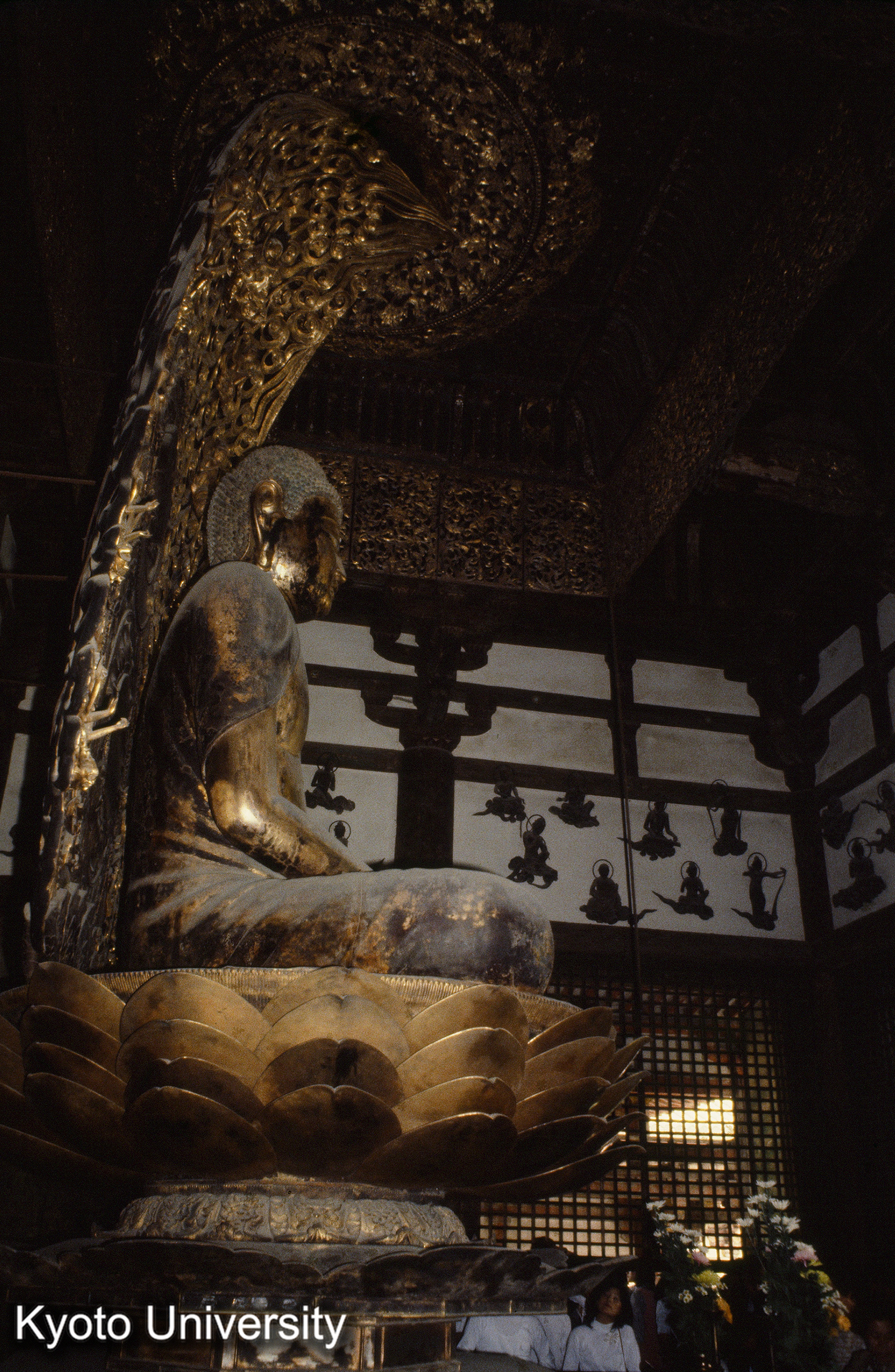 平等院鳳凰堂 (1)