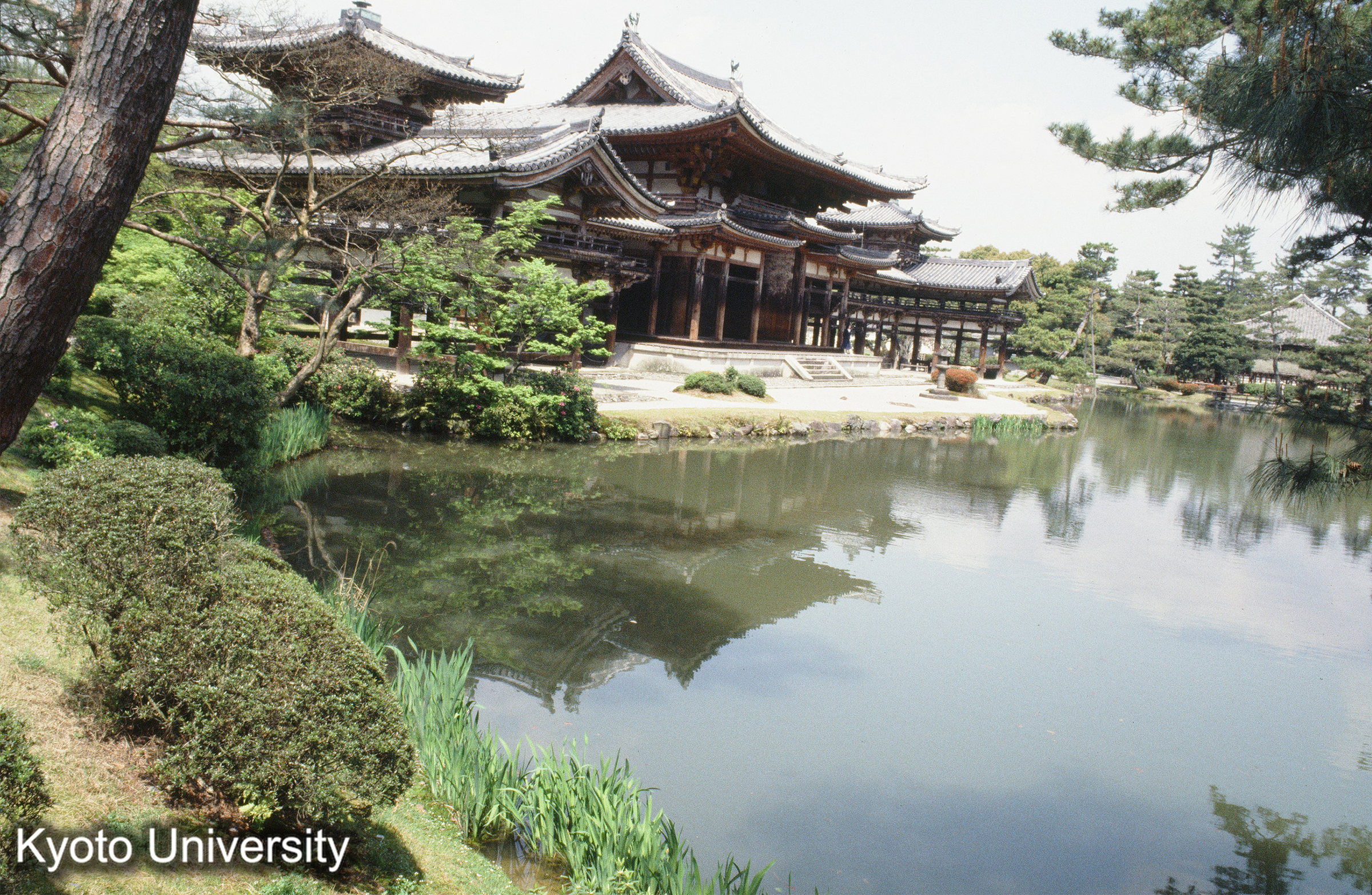 平等院鳳凰堂 (1)