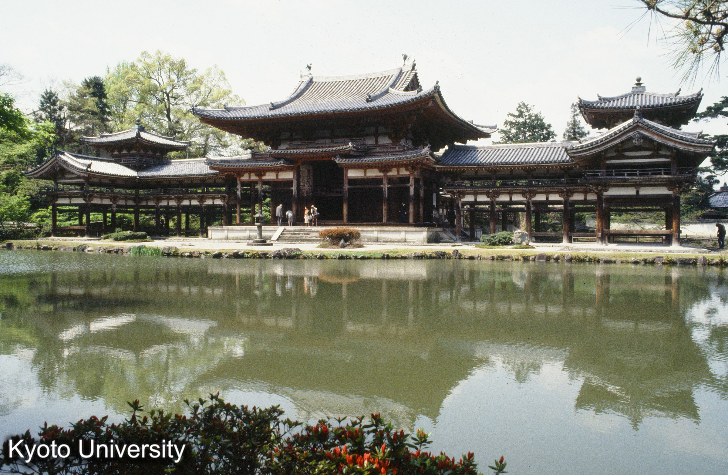 平等院鳳凰堂 (1)