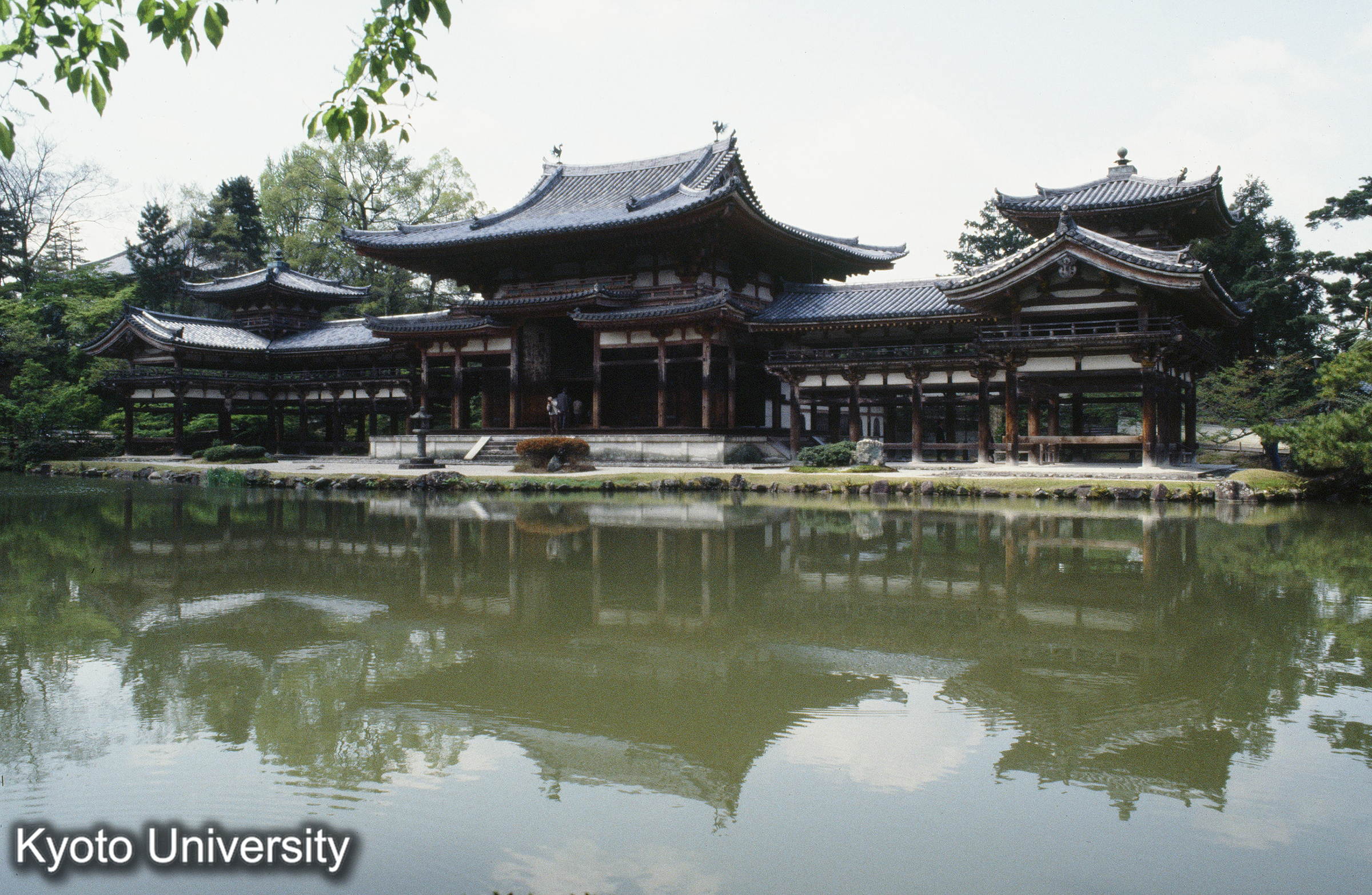 平等院鳳凰堂 (1)