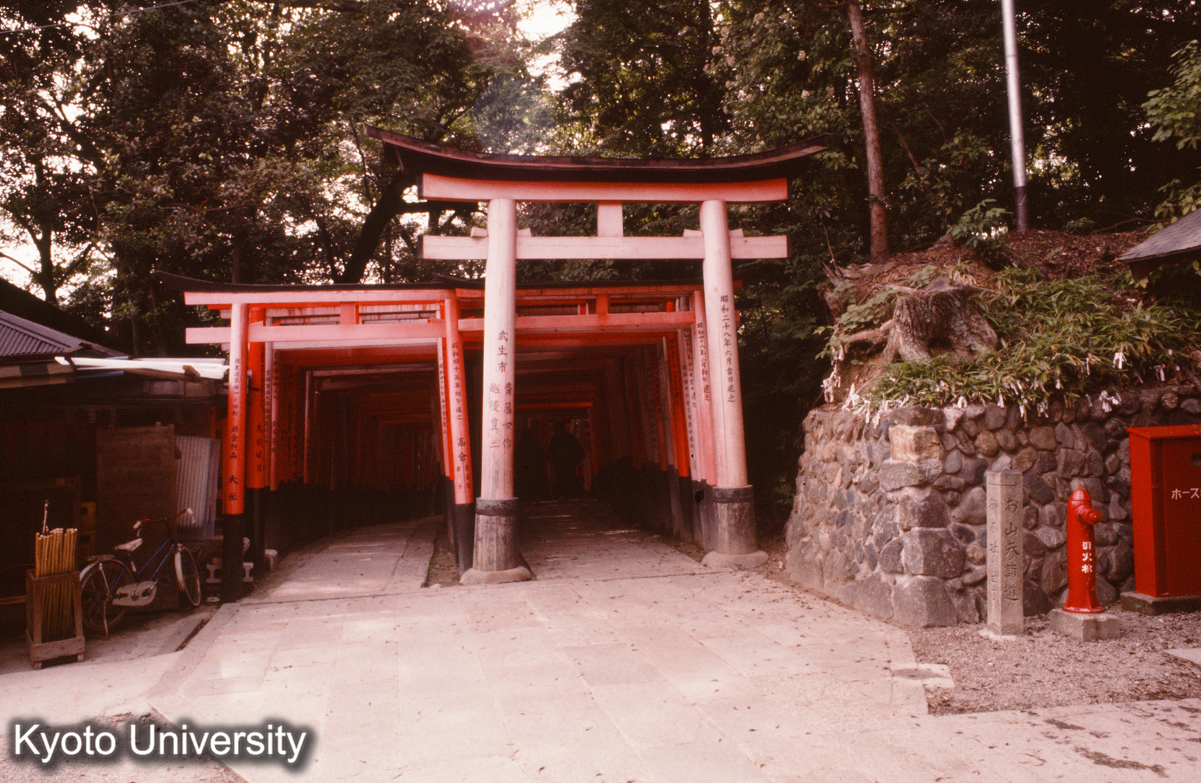 伏見稲荷神社 (1)