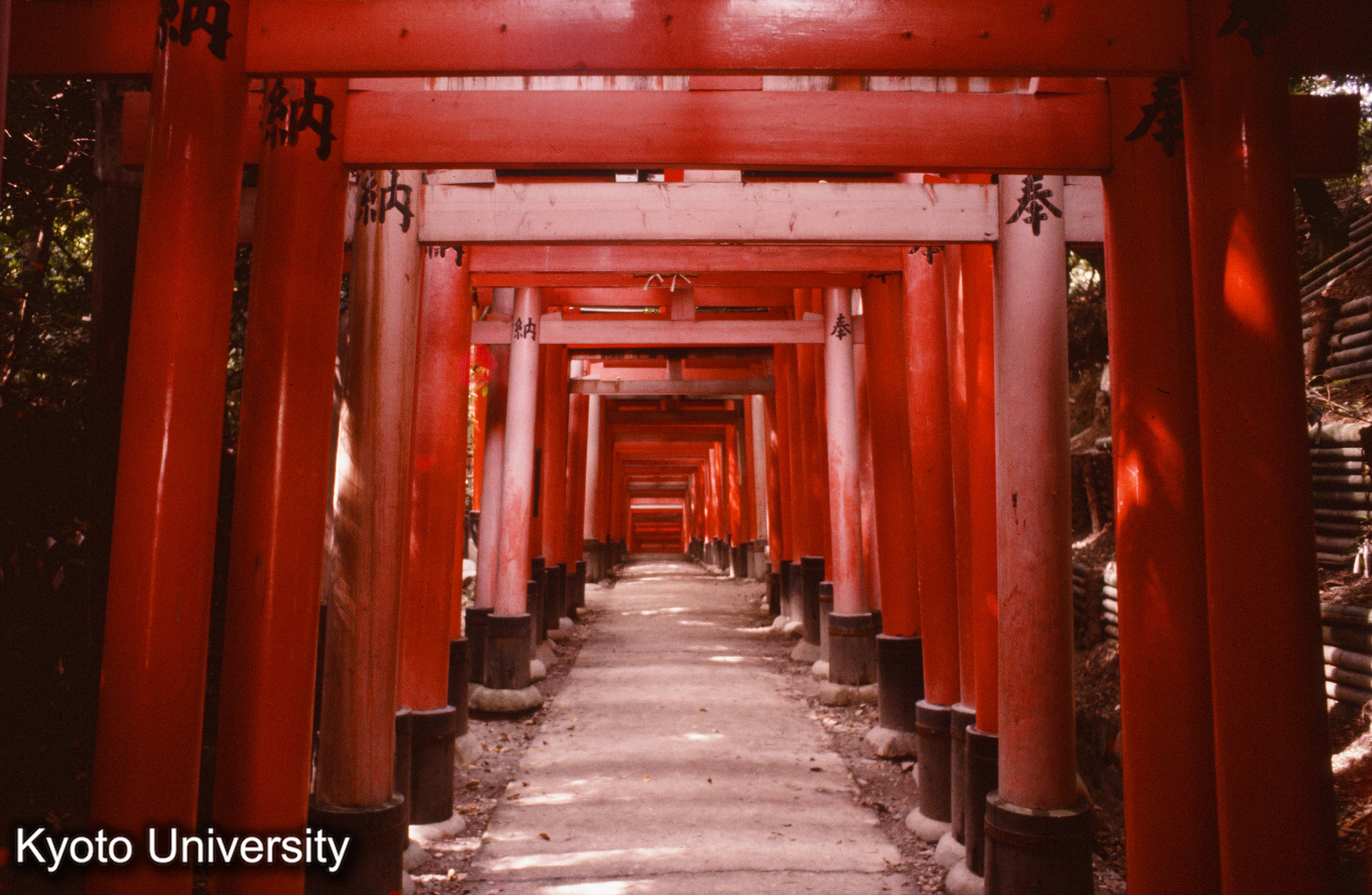 伏見稲荷大社 (1)