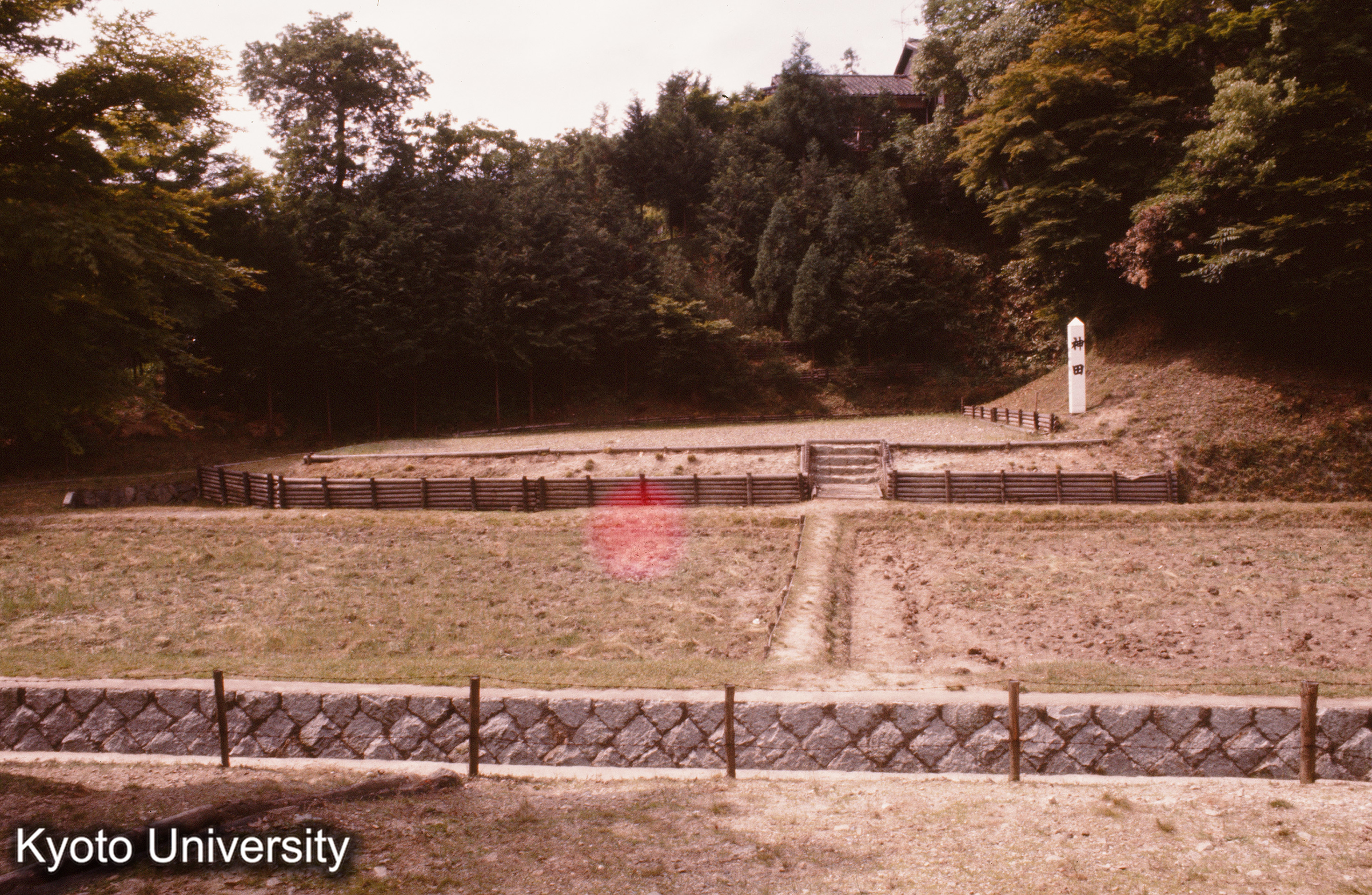 ［スライド］ (1)