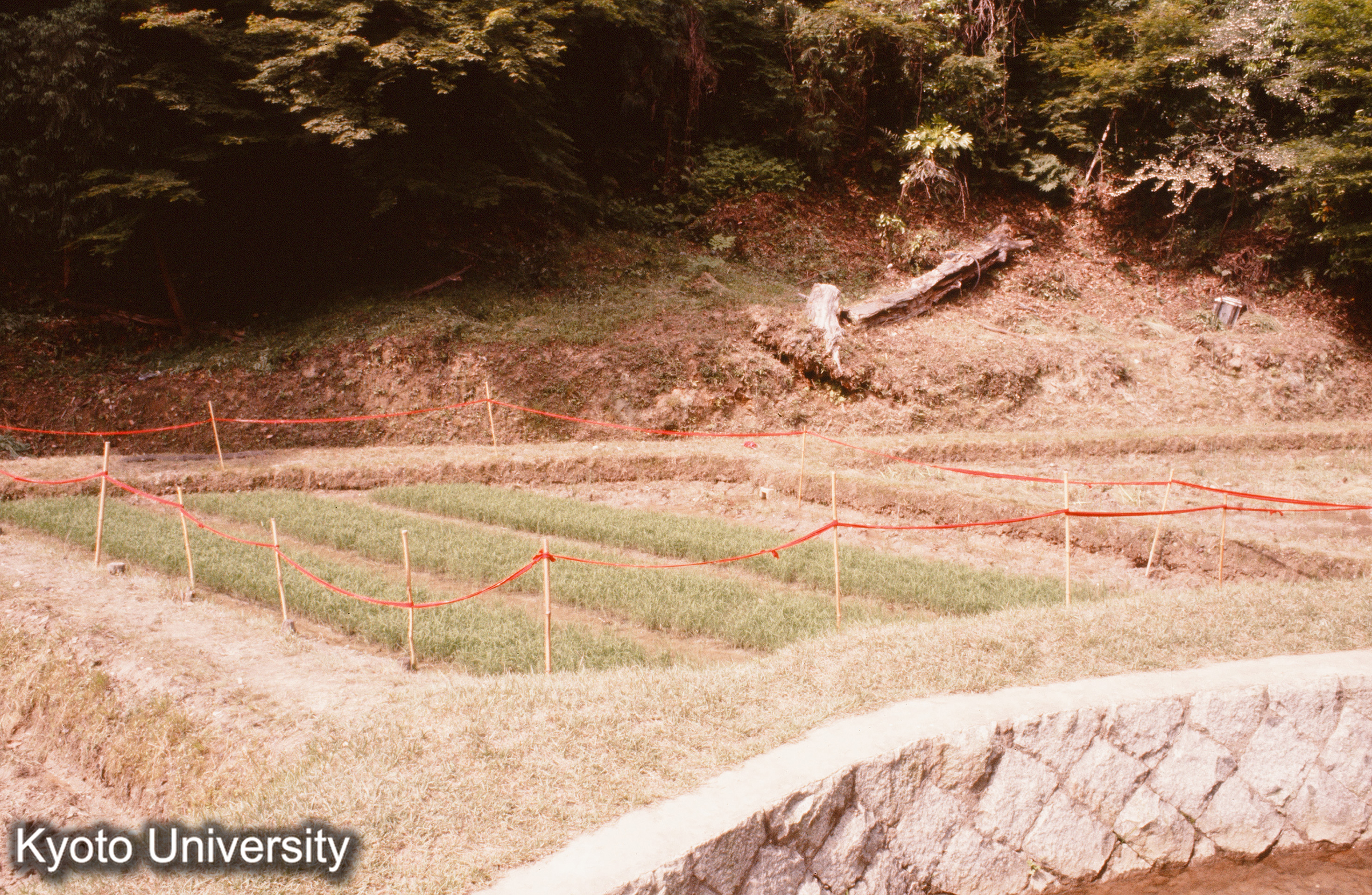 ［スライド］ (1)