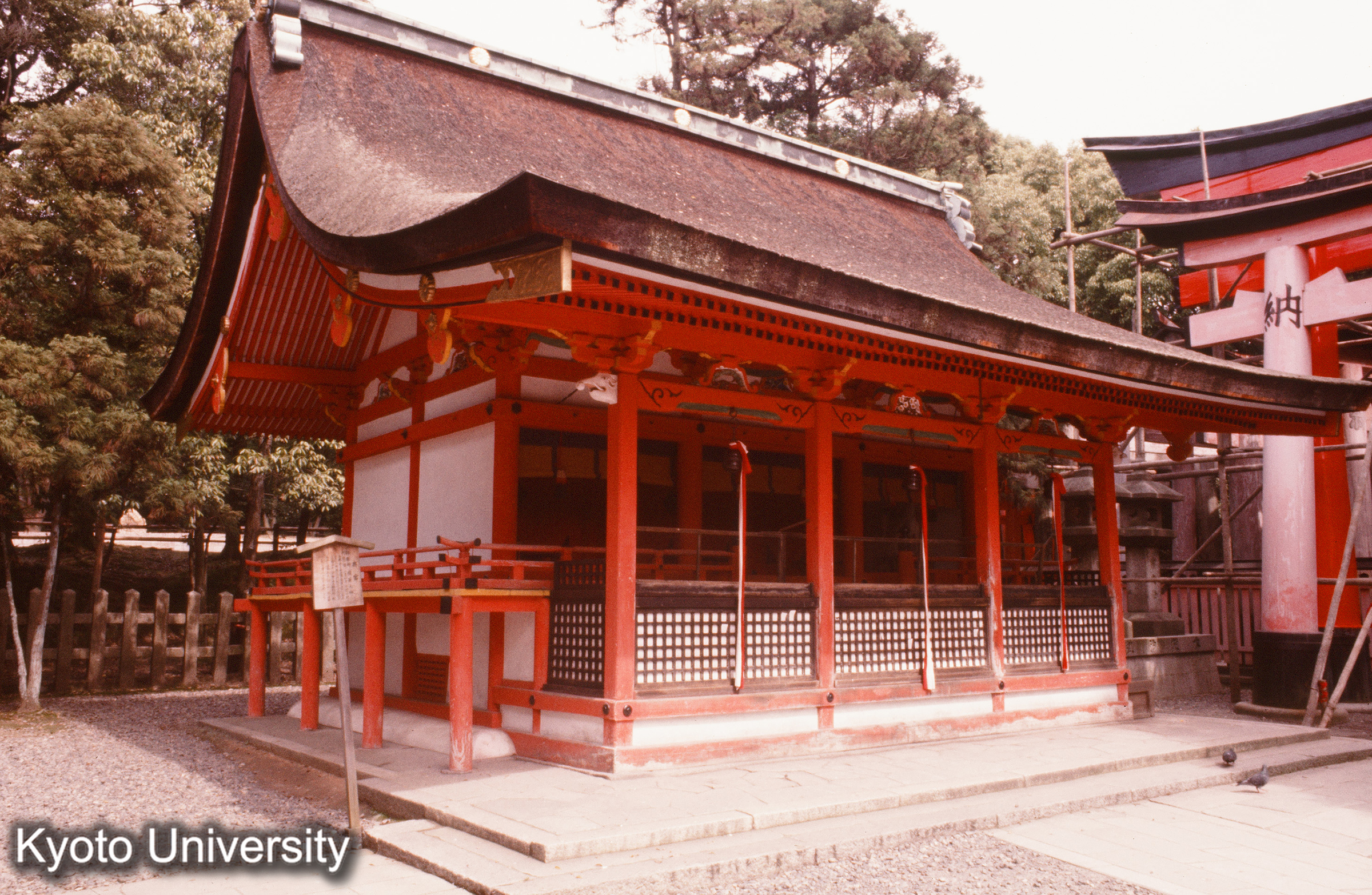 伏見稲荷大社 (1)