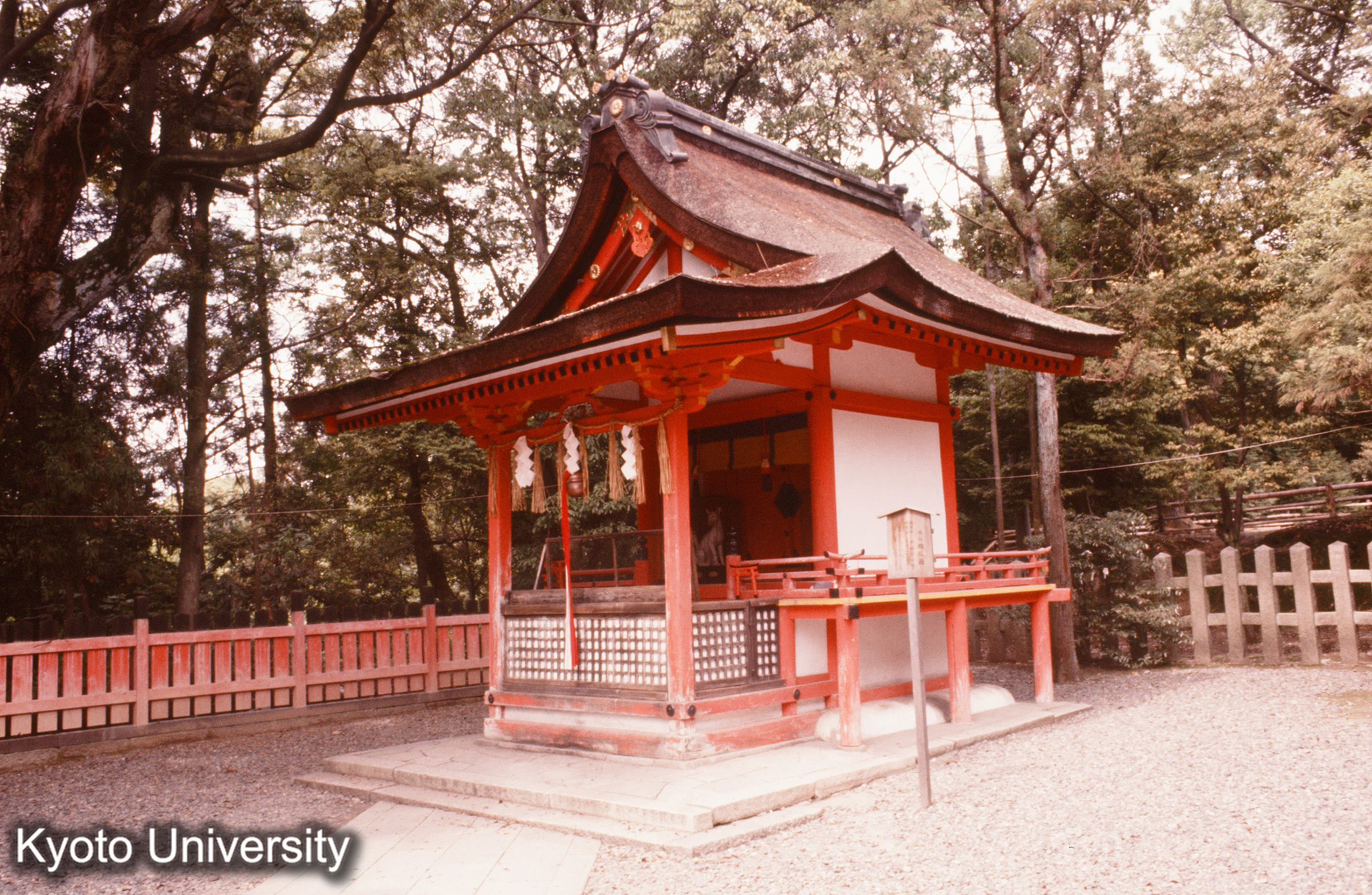 伏見稲荷大社 (1)