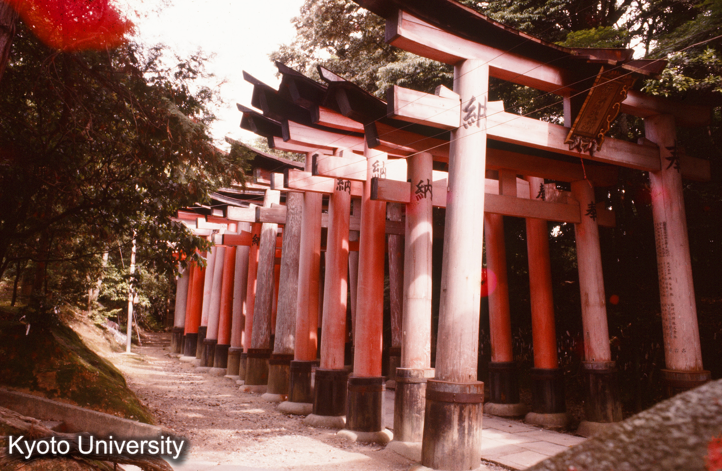伏見稲荷大社 (1)